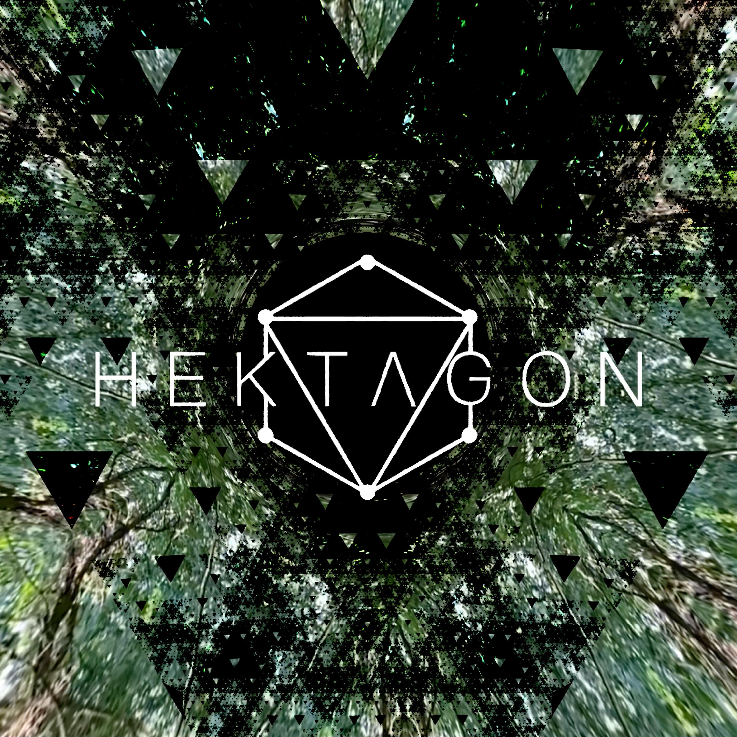 Релиз Bird Kingdom