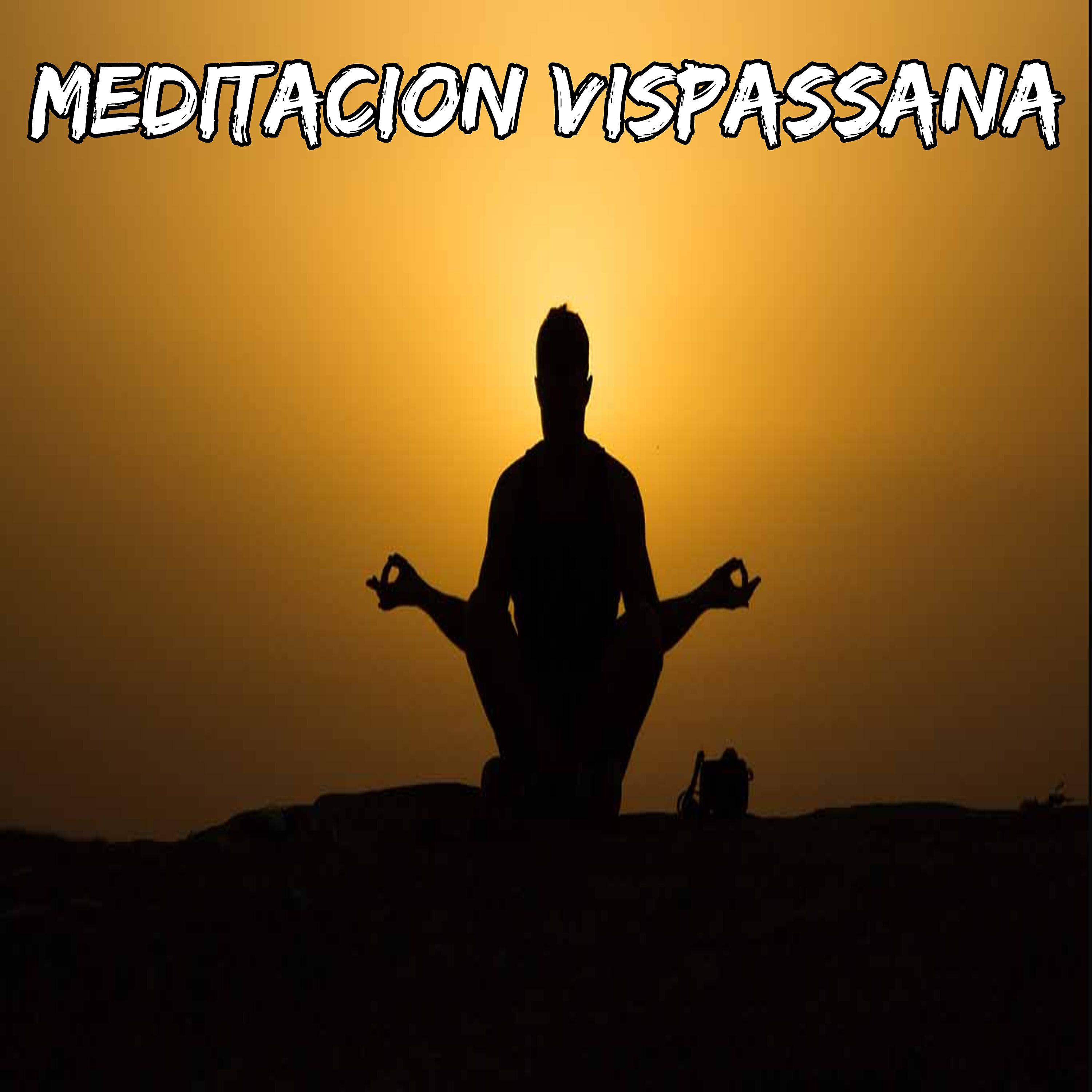 Релиз Meditación Vispassana