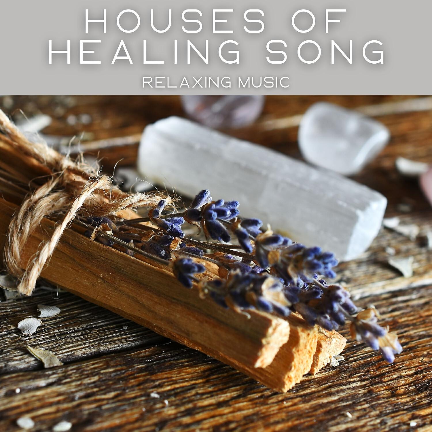 Релиз Houses of Healing Song