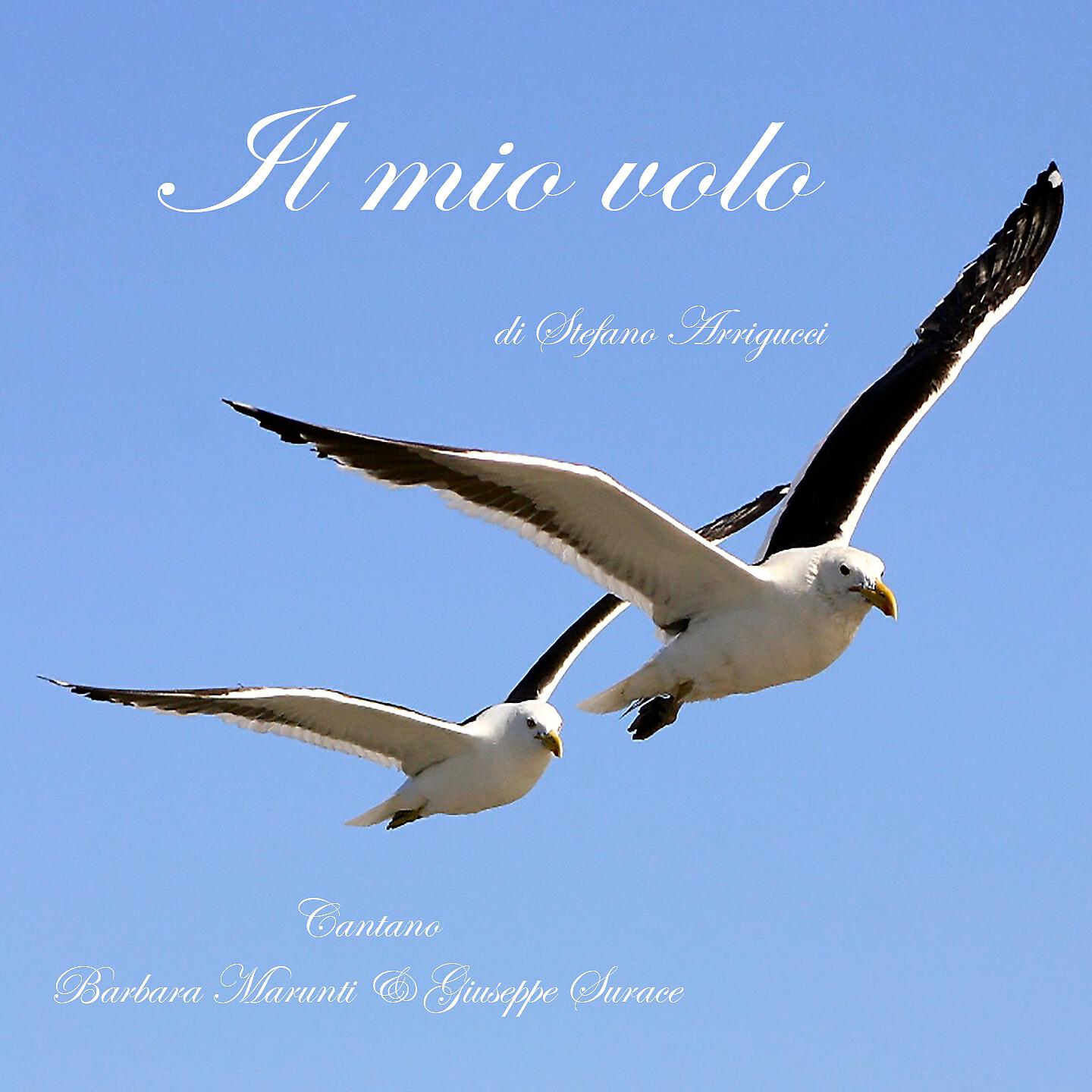 Релиз Il mio volo
