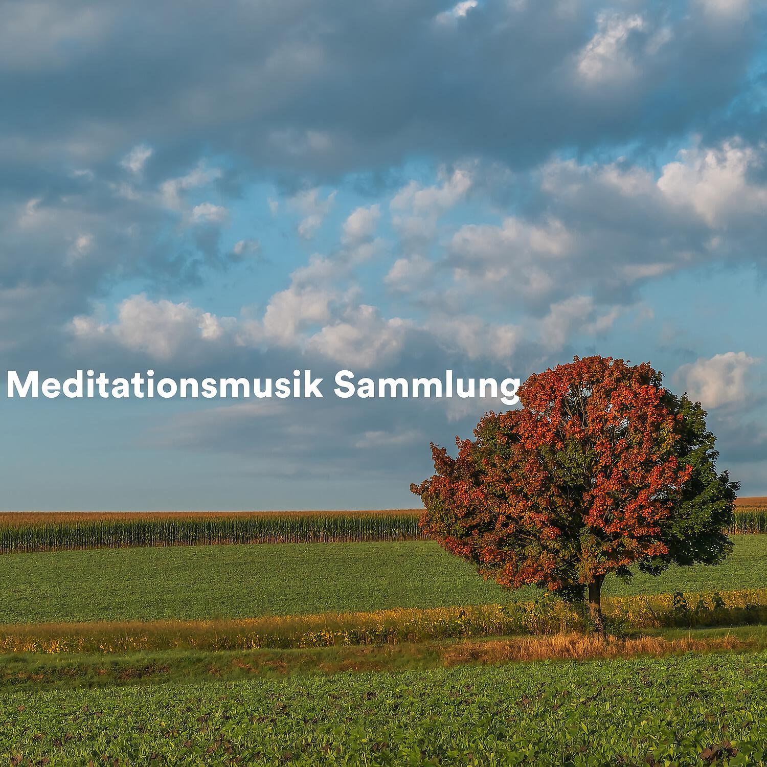 Релиз Meditationsmusik Sammlung
