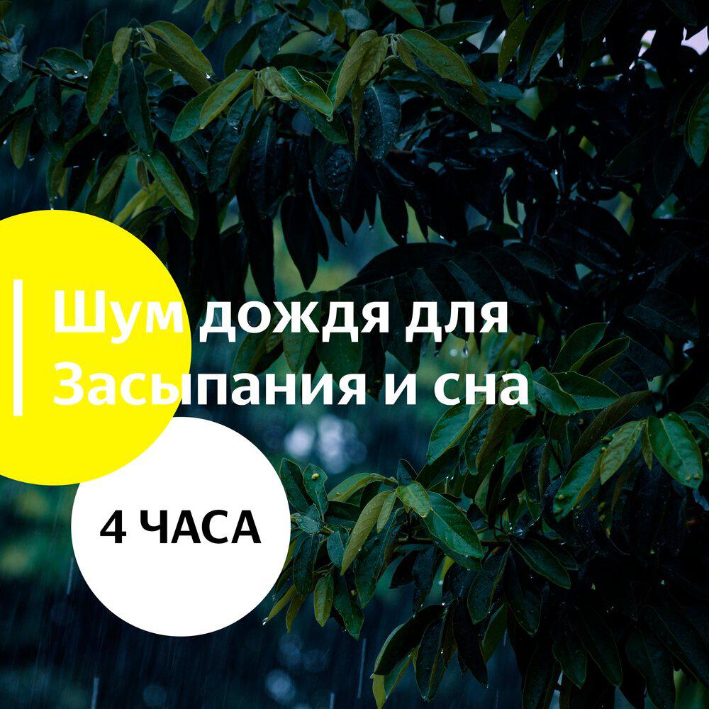 Релиз Шум Дождя Для Засыпания и Сна. 4 ЧАСА