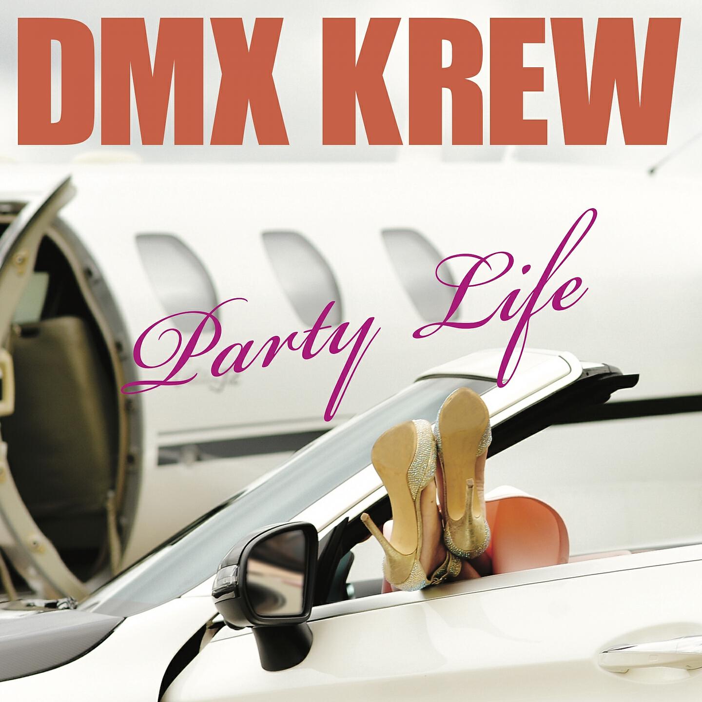 Релиз Party Life