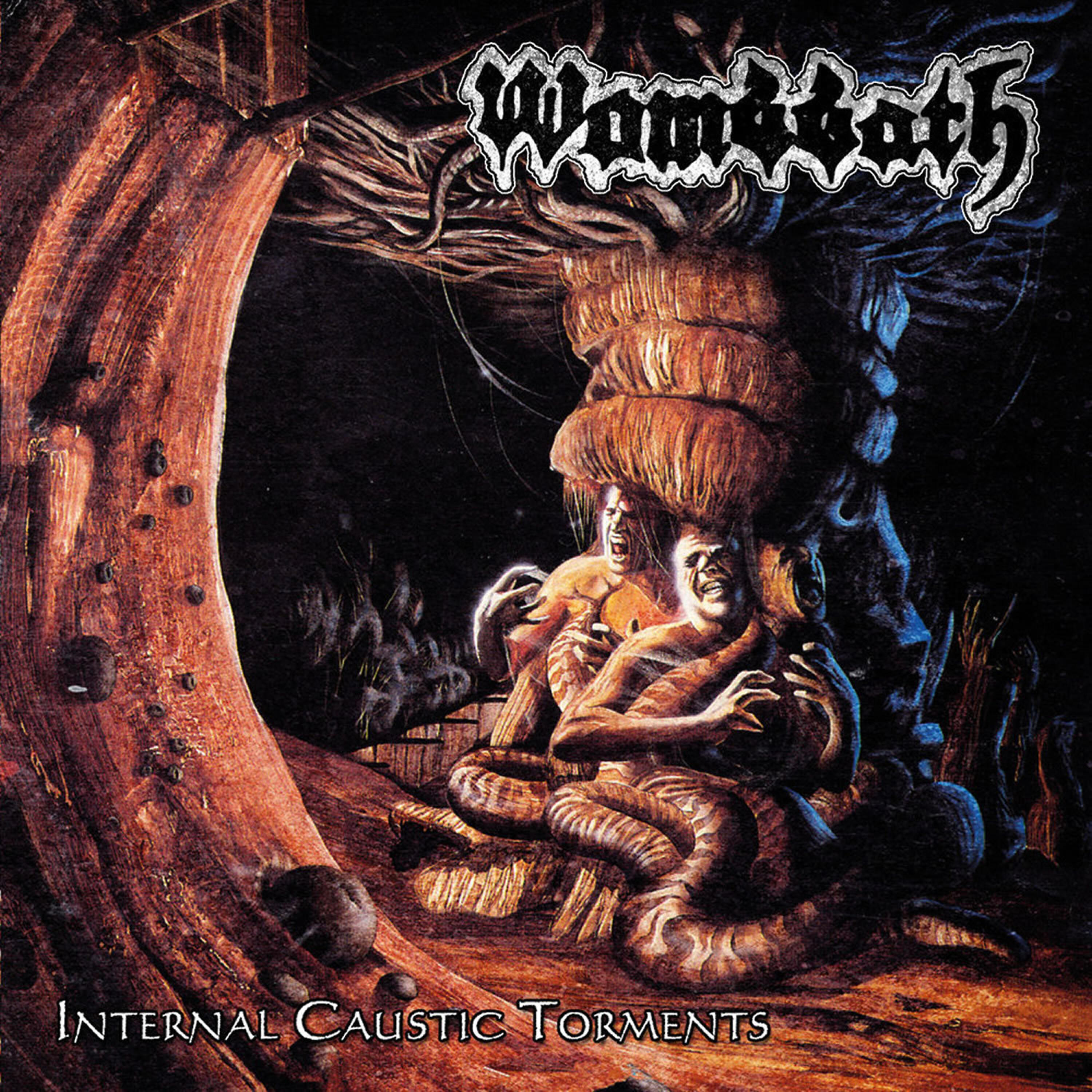 Постер альбома Internal Caustic Torments