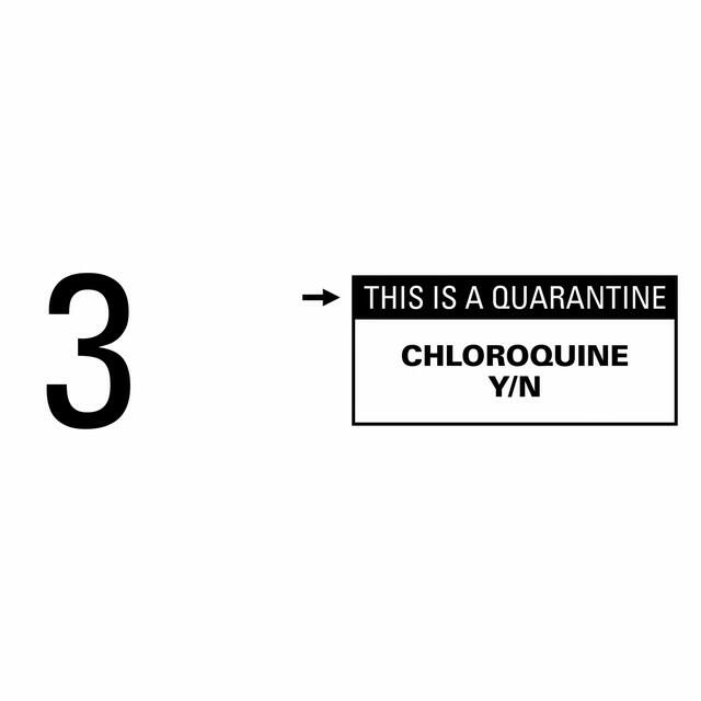 Релиз Chloroquine Y/N (This Is a Quarantine)