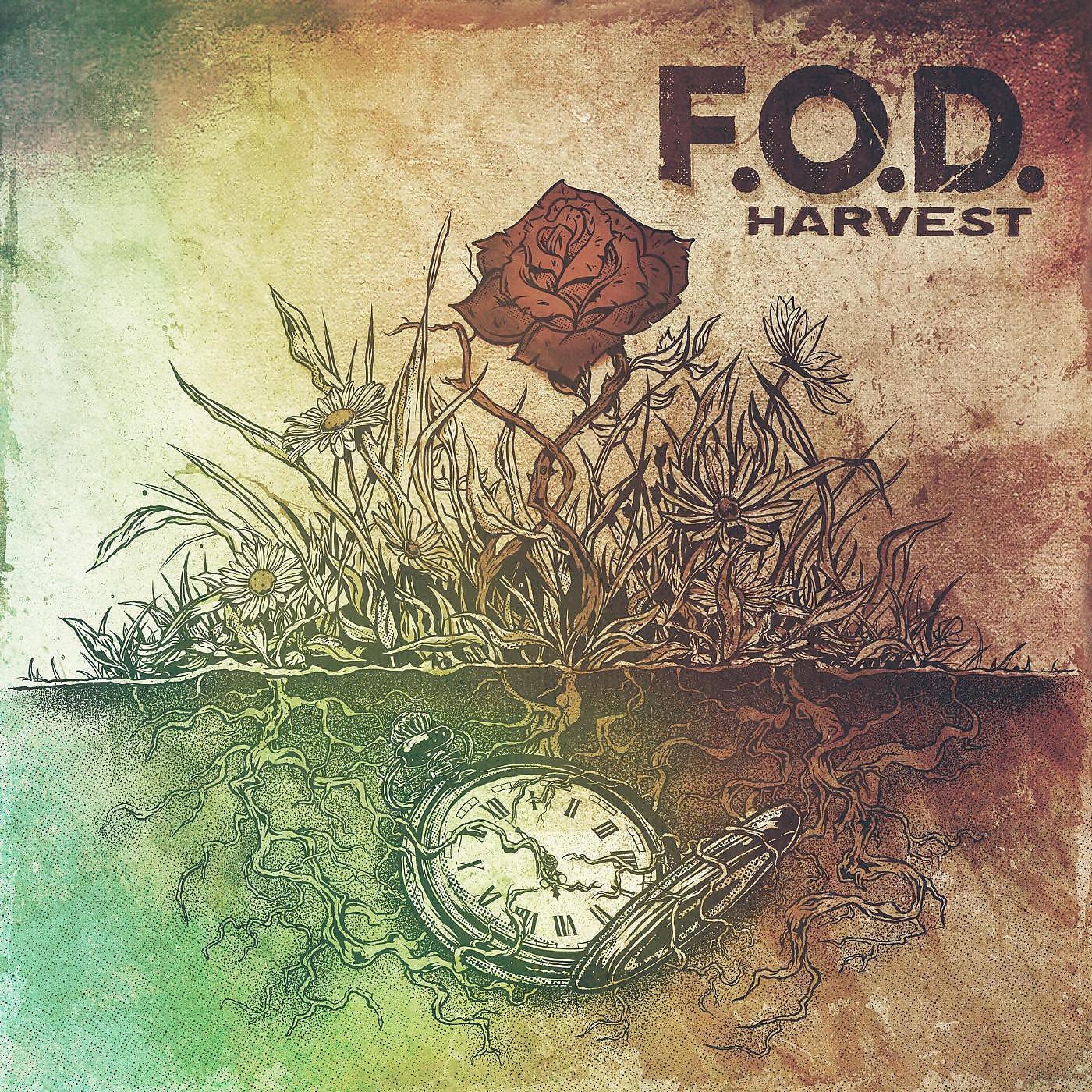 Релиз Harvest