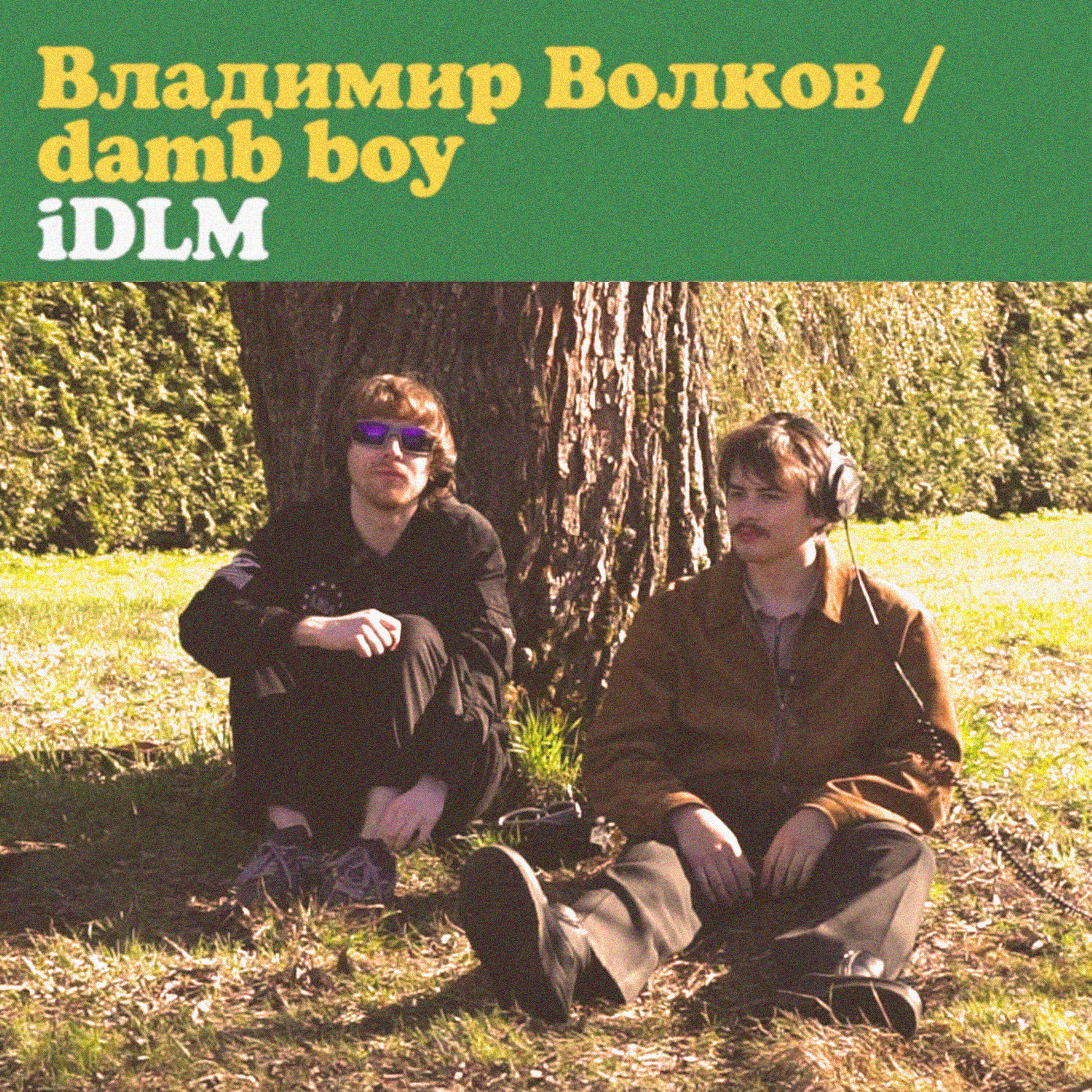 Релиз iDLM