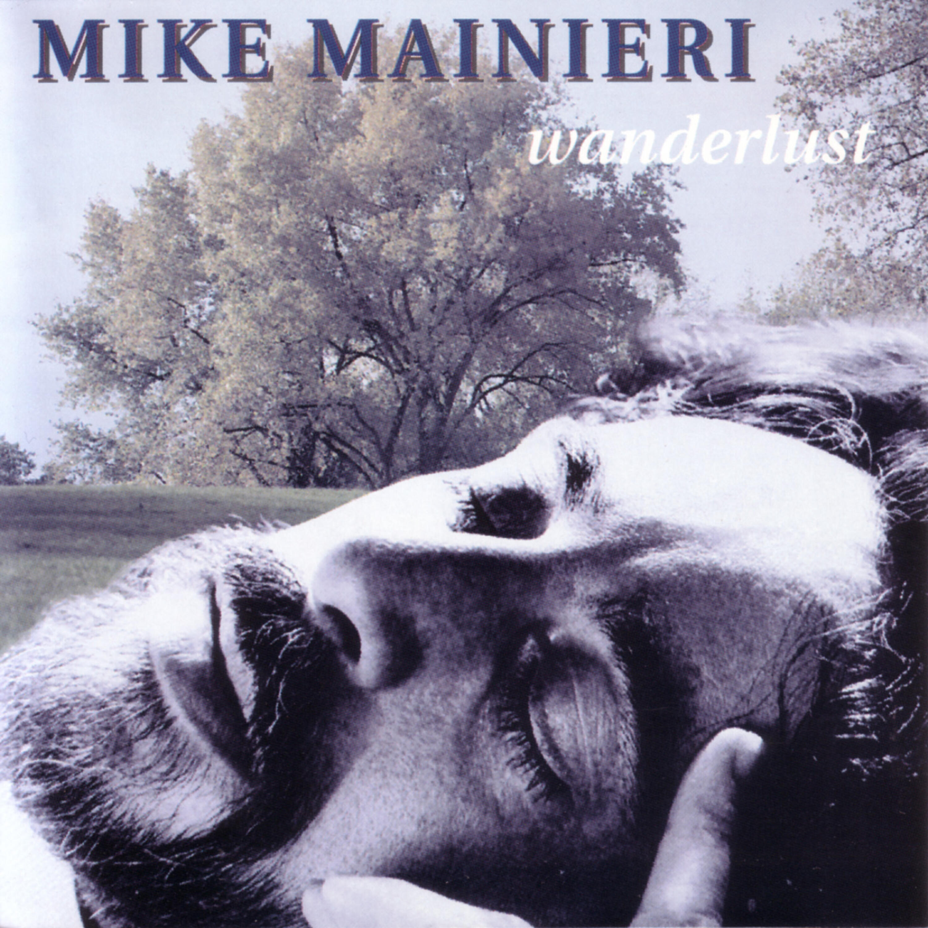 Скачать песню Mike Mainieri, Peter Erskine, Manolo Badrena, Michael Brecker, Jeremy Steig, 渡辺香津美, Marcus Miller, Warren Bernhardt, Don Grolnick - Bamboo бесплатно в MP3 для Android и iOS