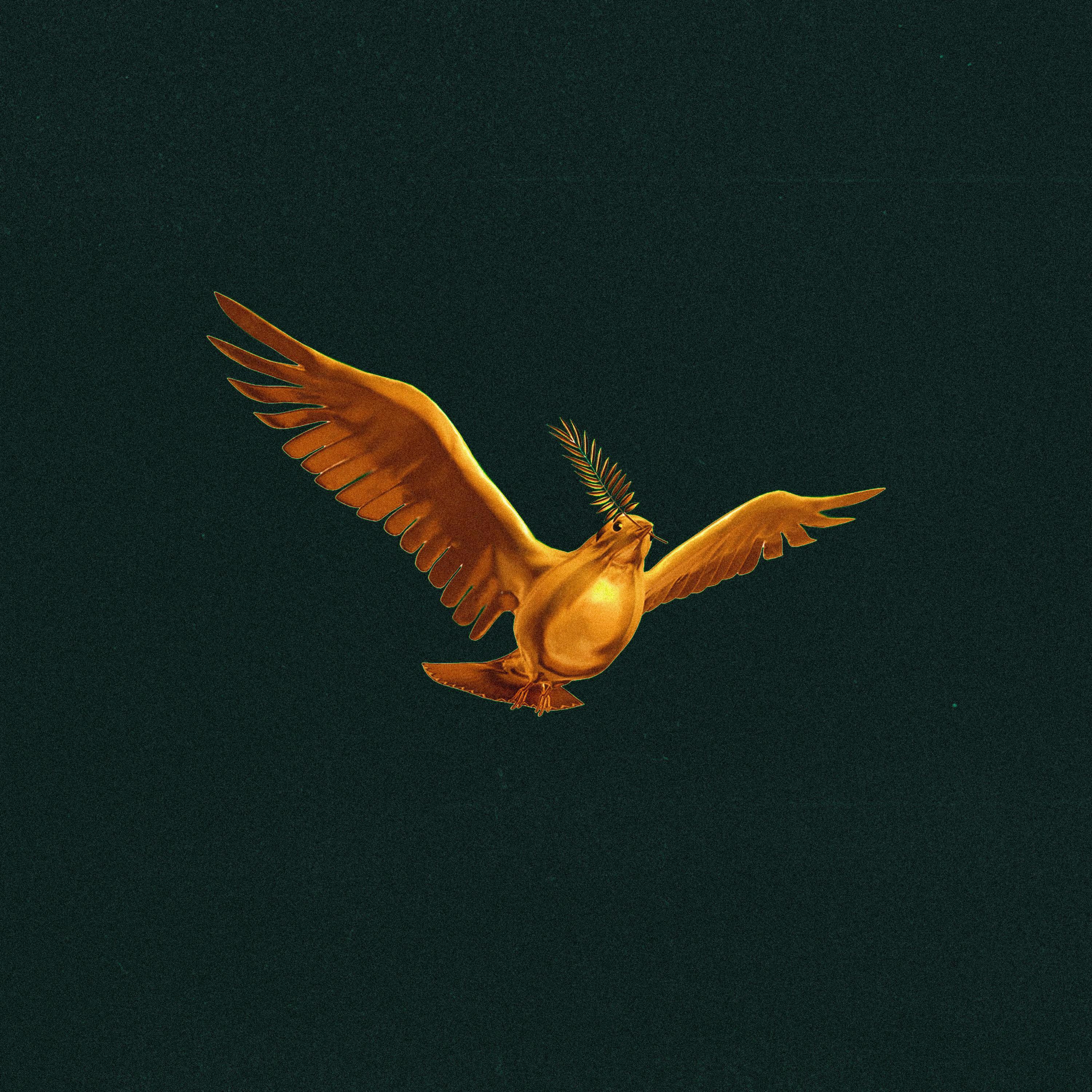 Релиз Blessed