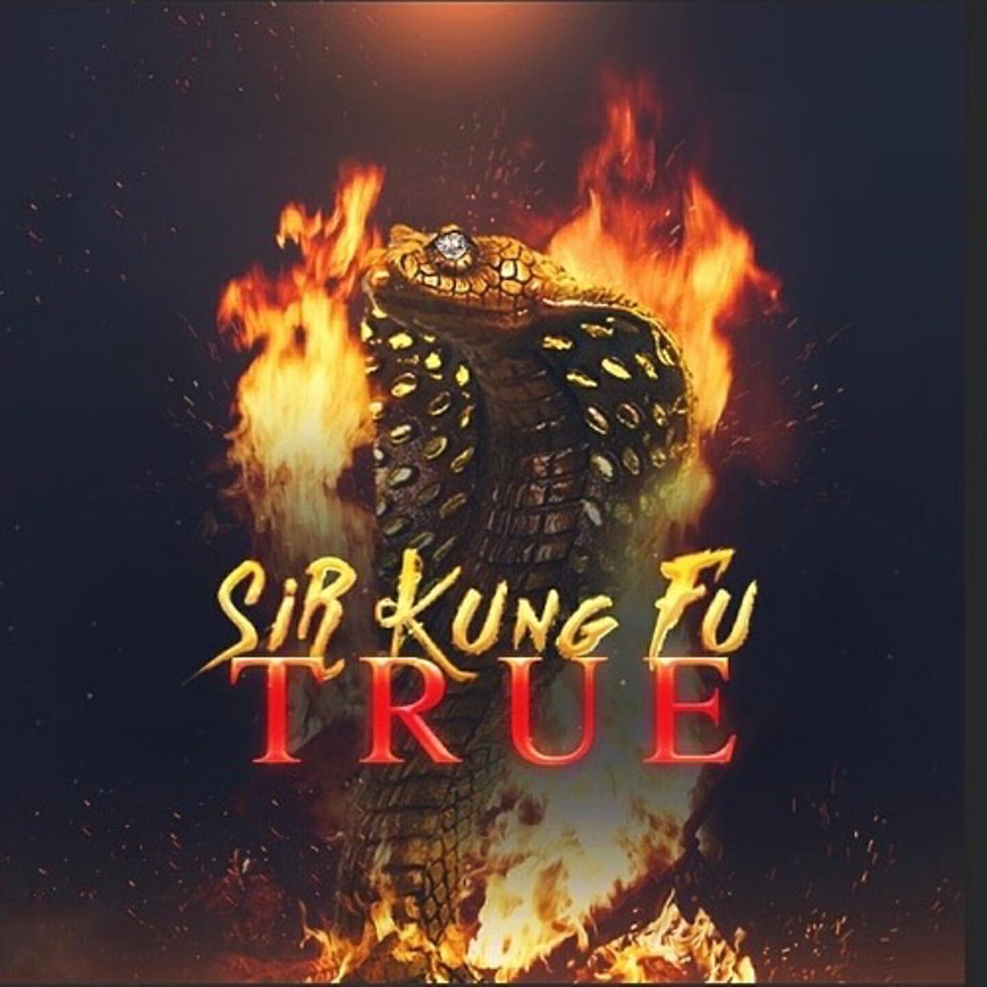 Sir Kung-Fu все песни в mp3
