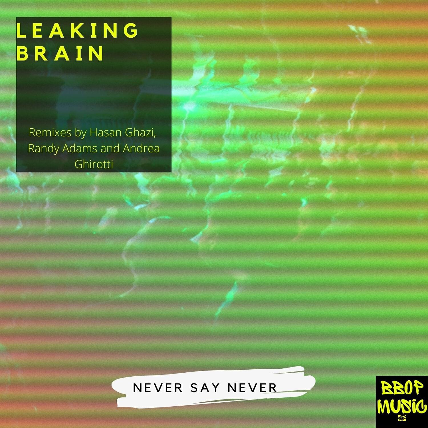 Релиз Never Say Never