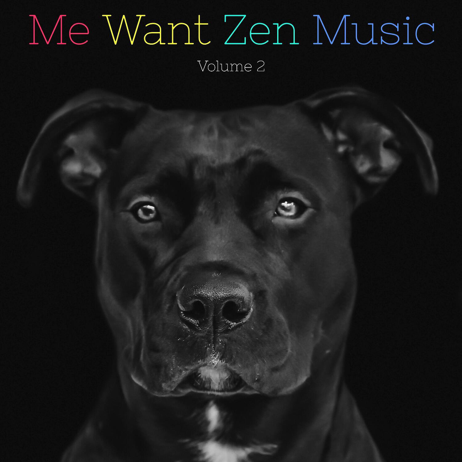 Релиз Me Want Zen Music, Vol. 2