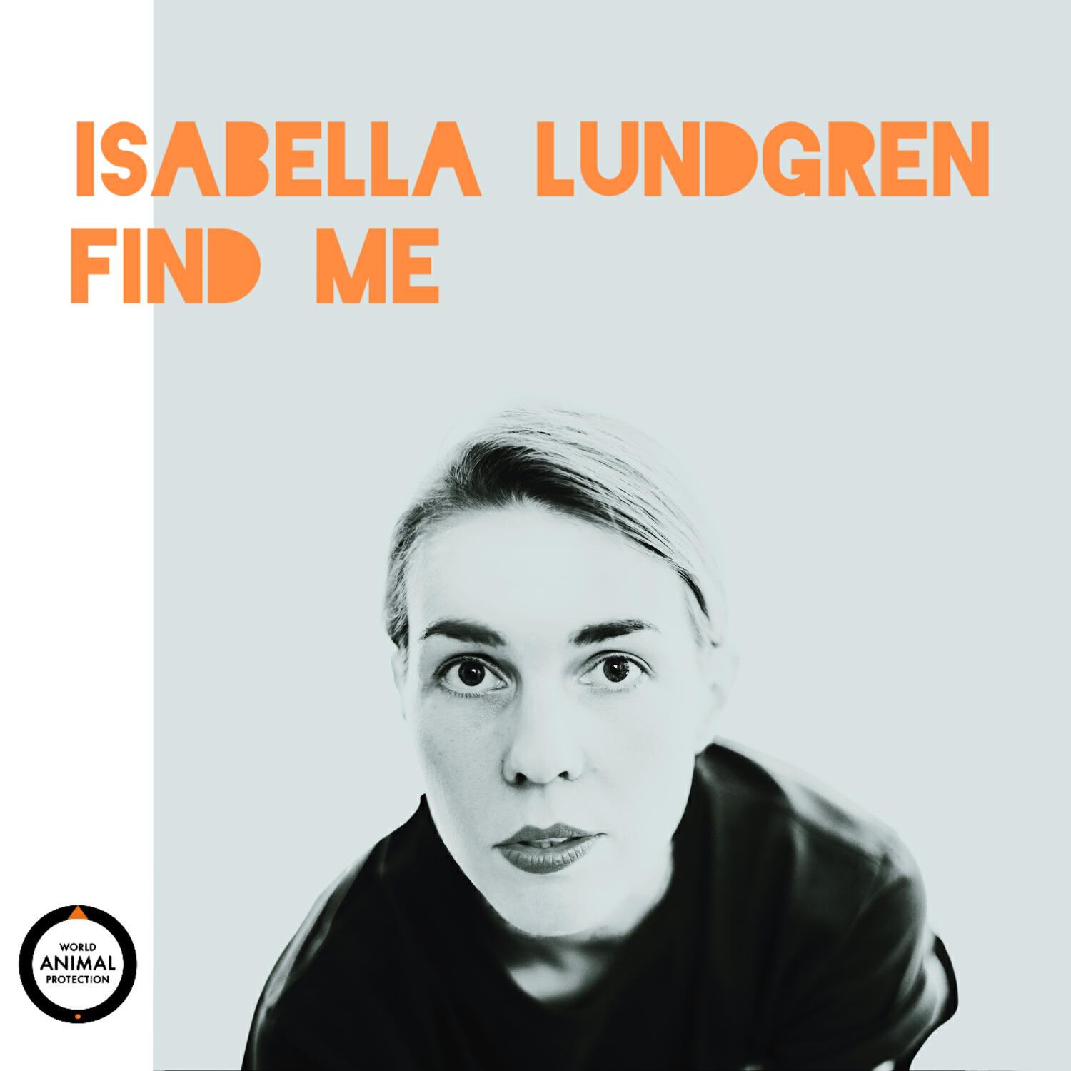 Релиз Find Me