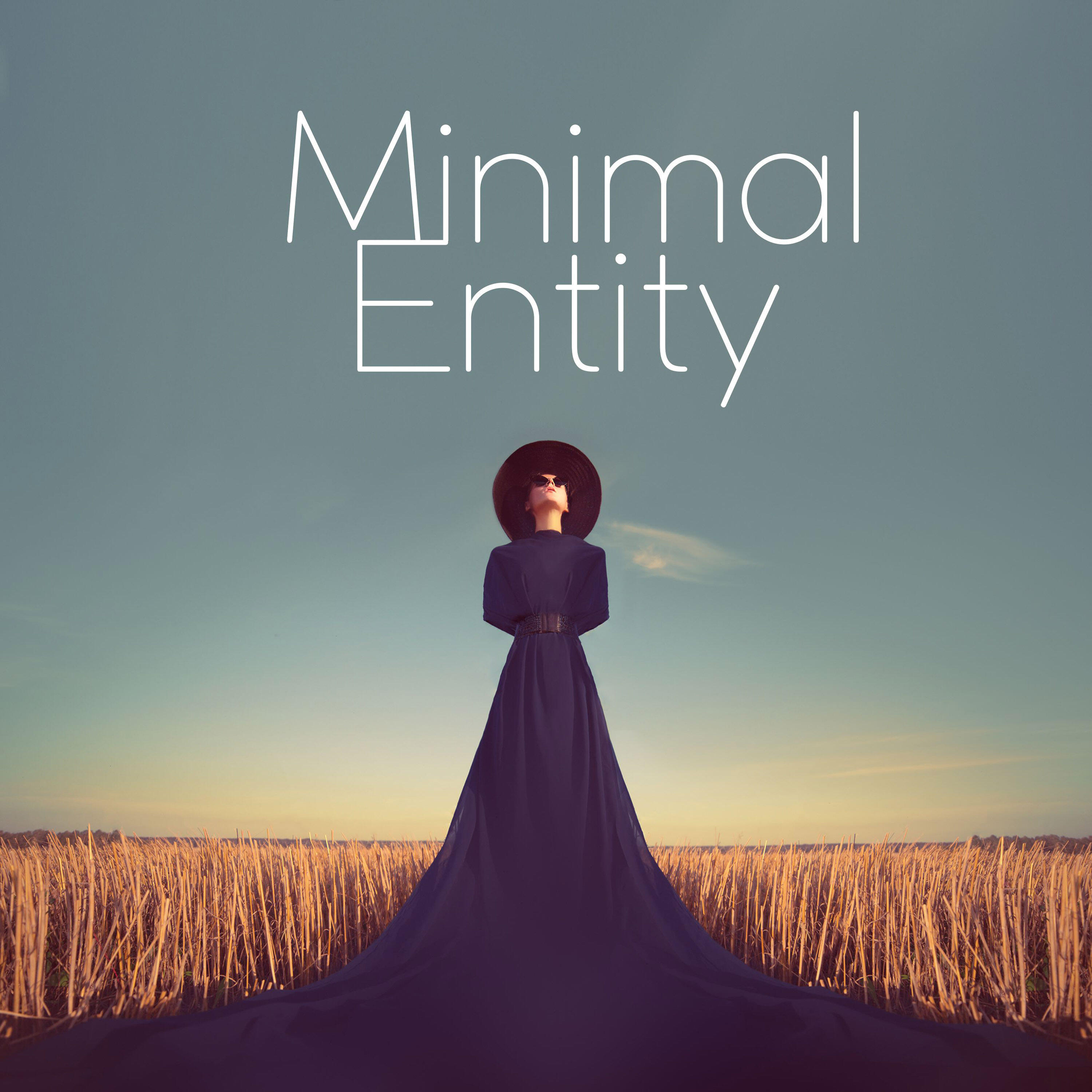Релиз Minimal Entity