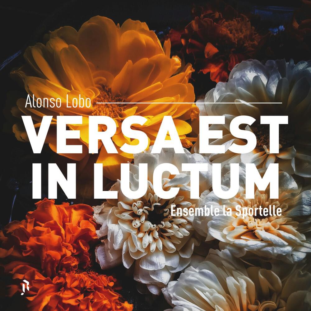 Alix Dumon-Debaecker