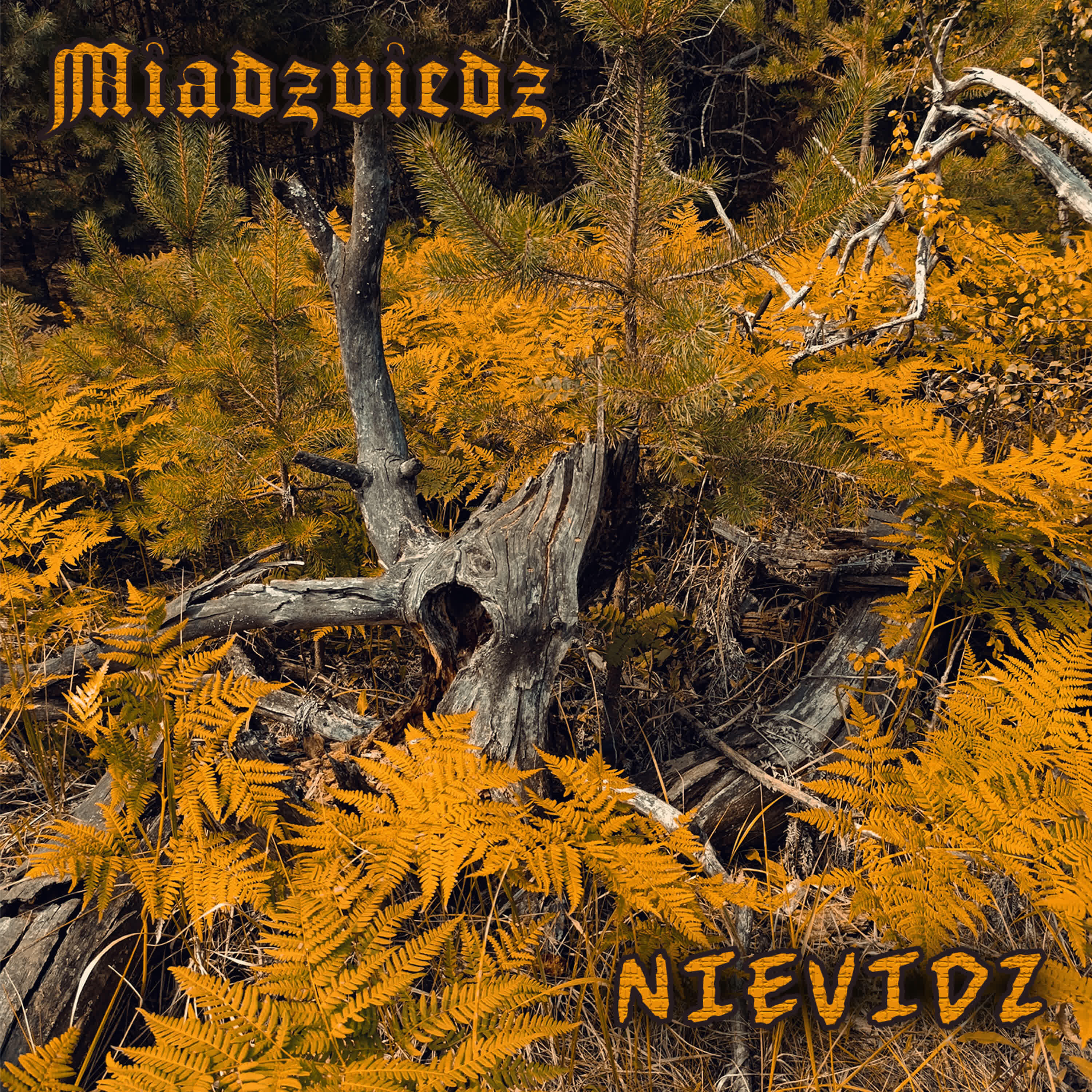 Релиз Nievidz