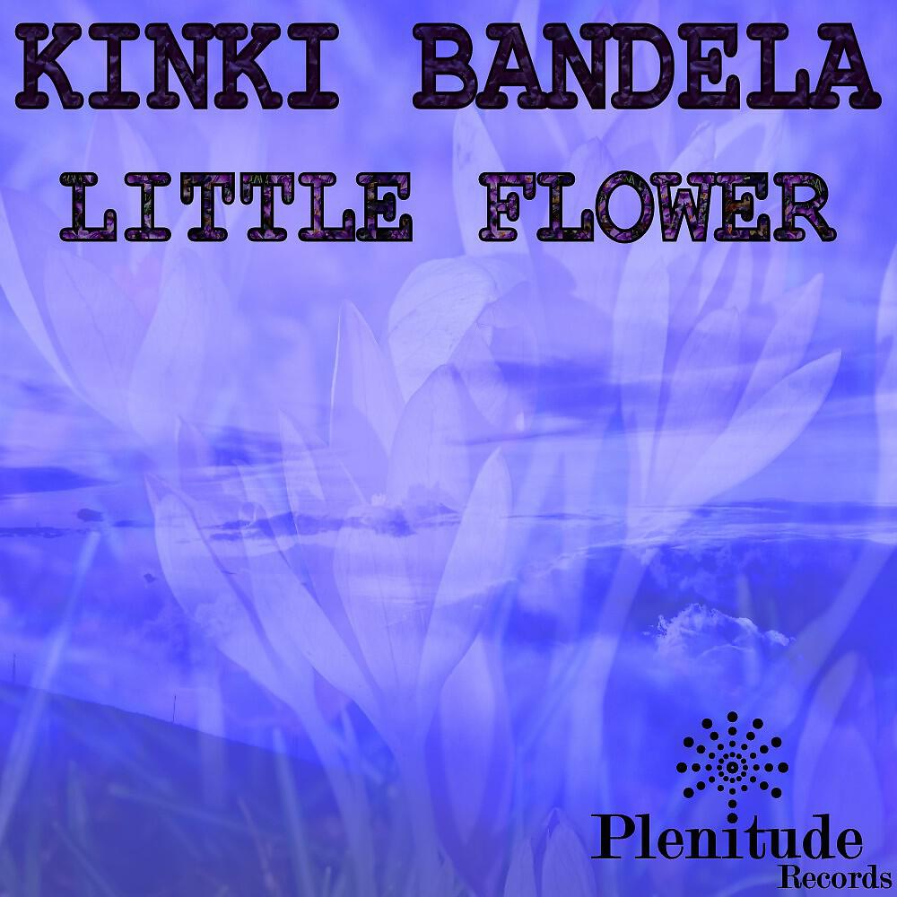 Трек Little Flower (Brookside Chase Mix)