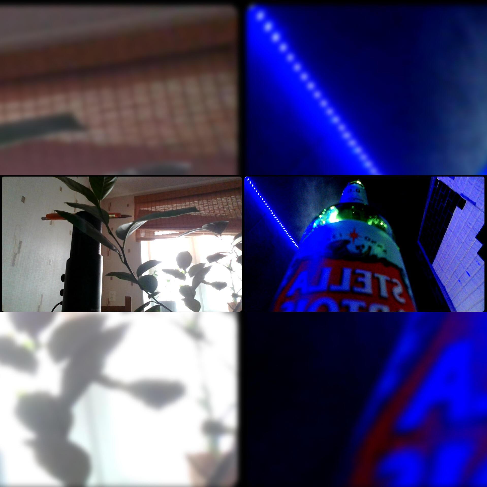 DMXT