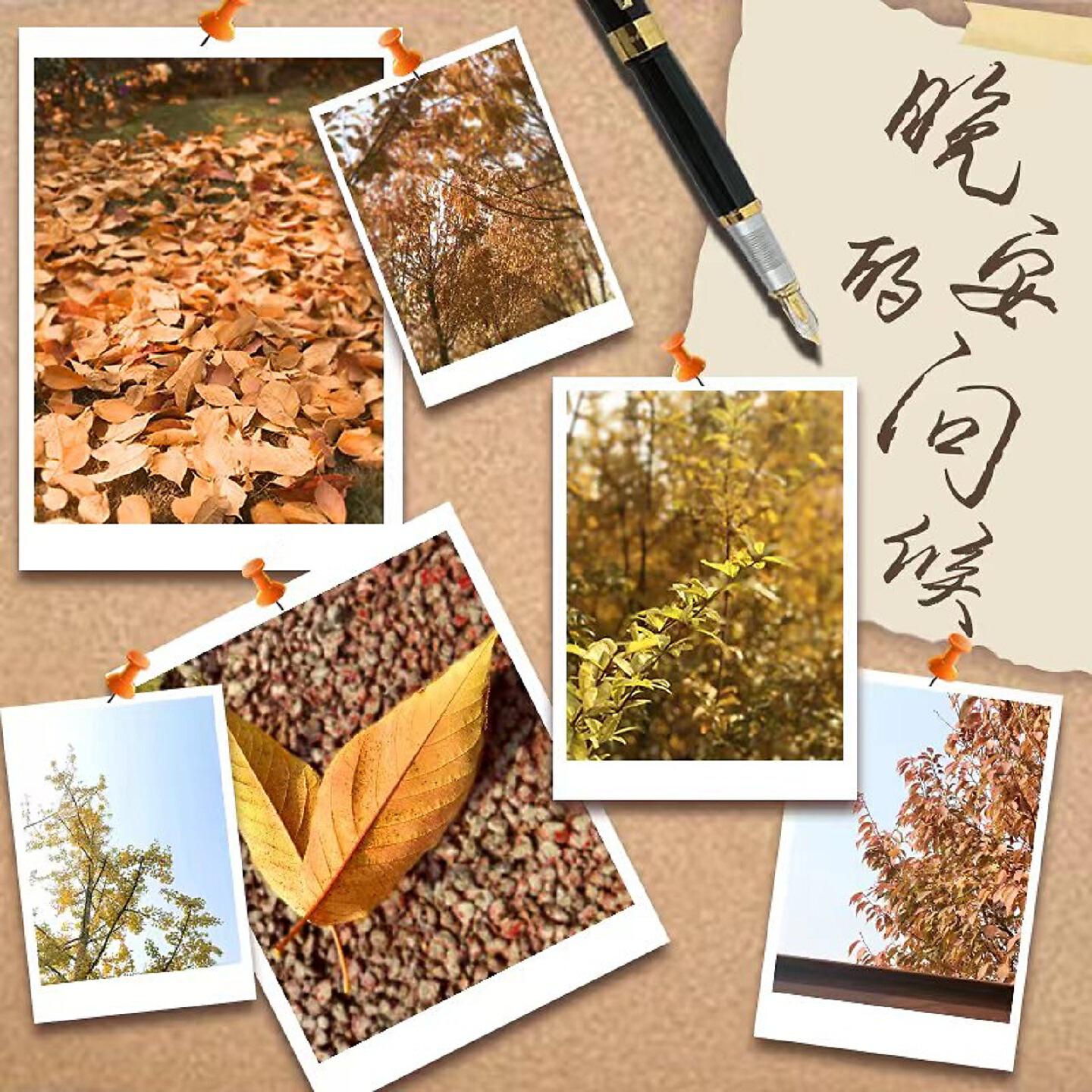 Релиз 晚安的问候