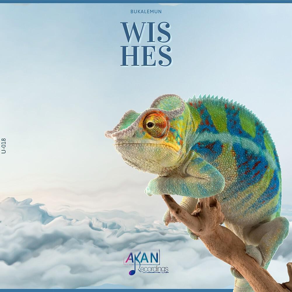 Релиз Wishes