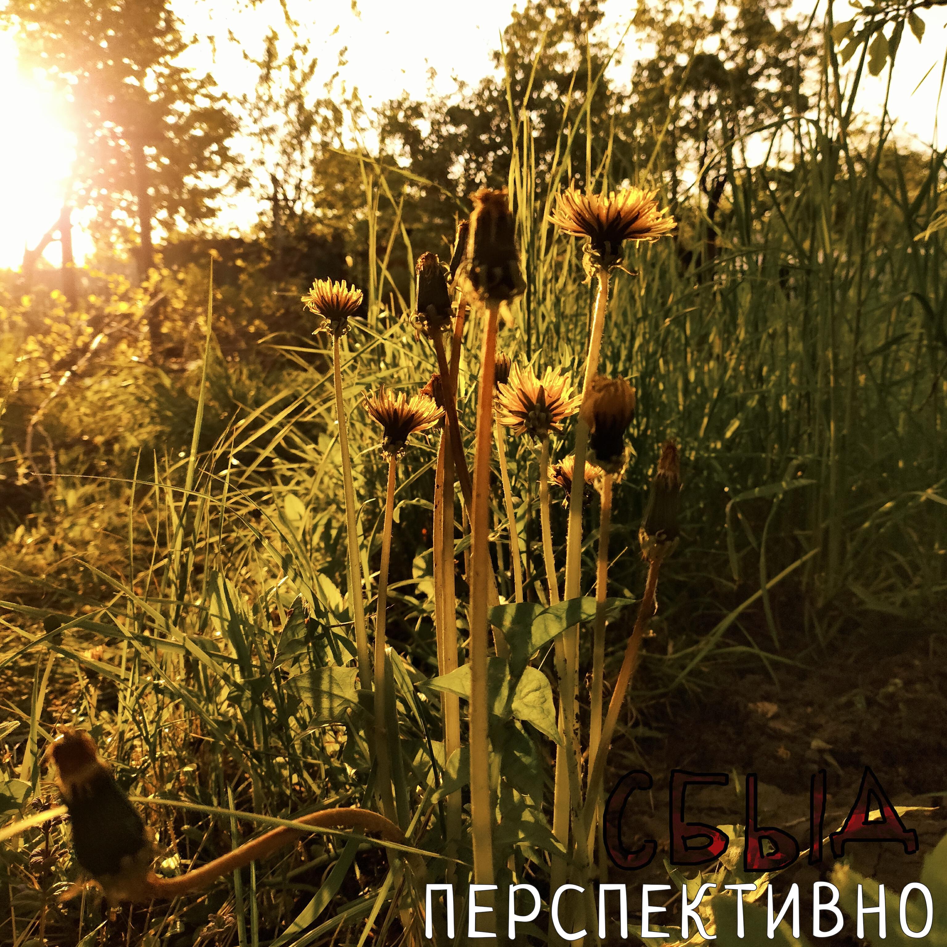 Релиз Перспективно