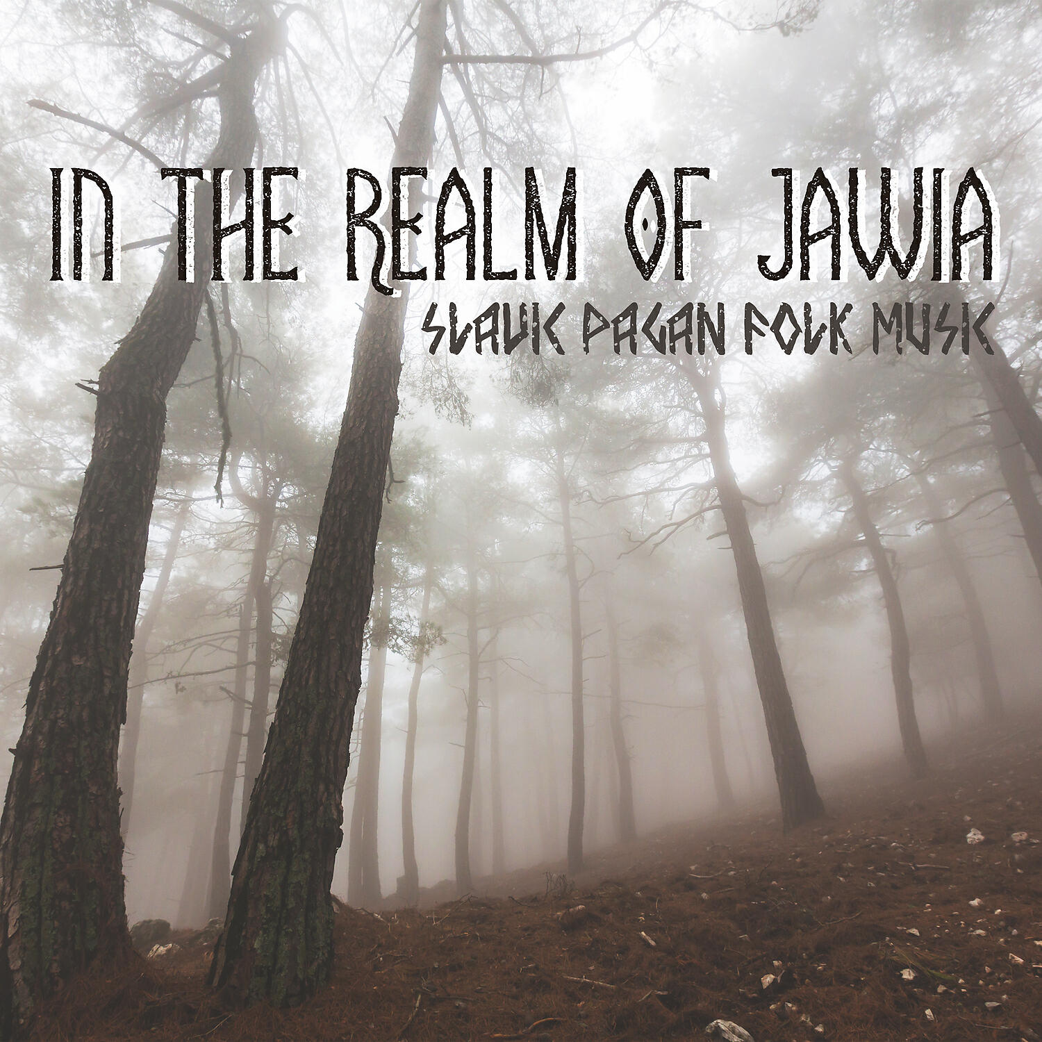 Релиз In the Realm of Jawia: Slavic Pagan Folk Music