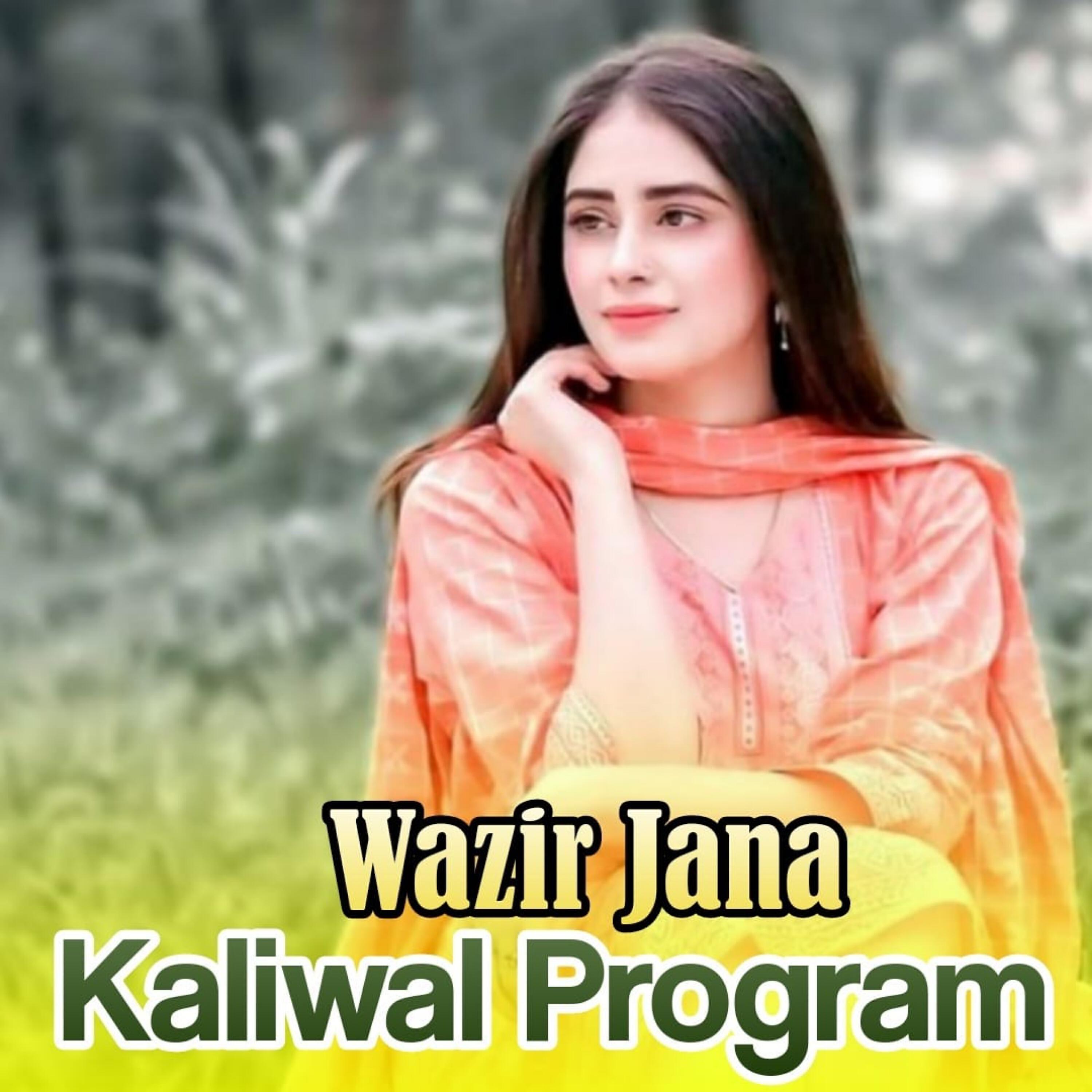 Релиз Kaliwal Program