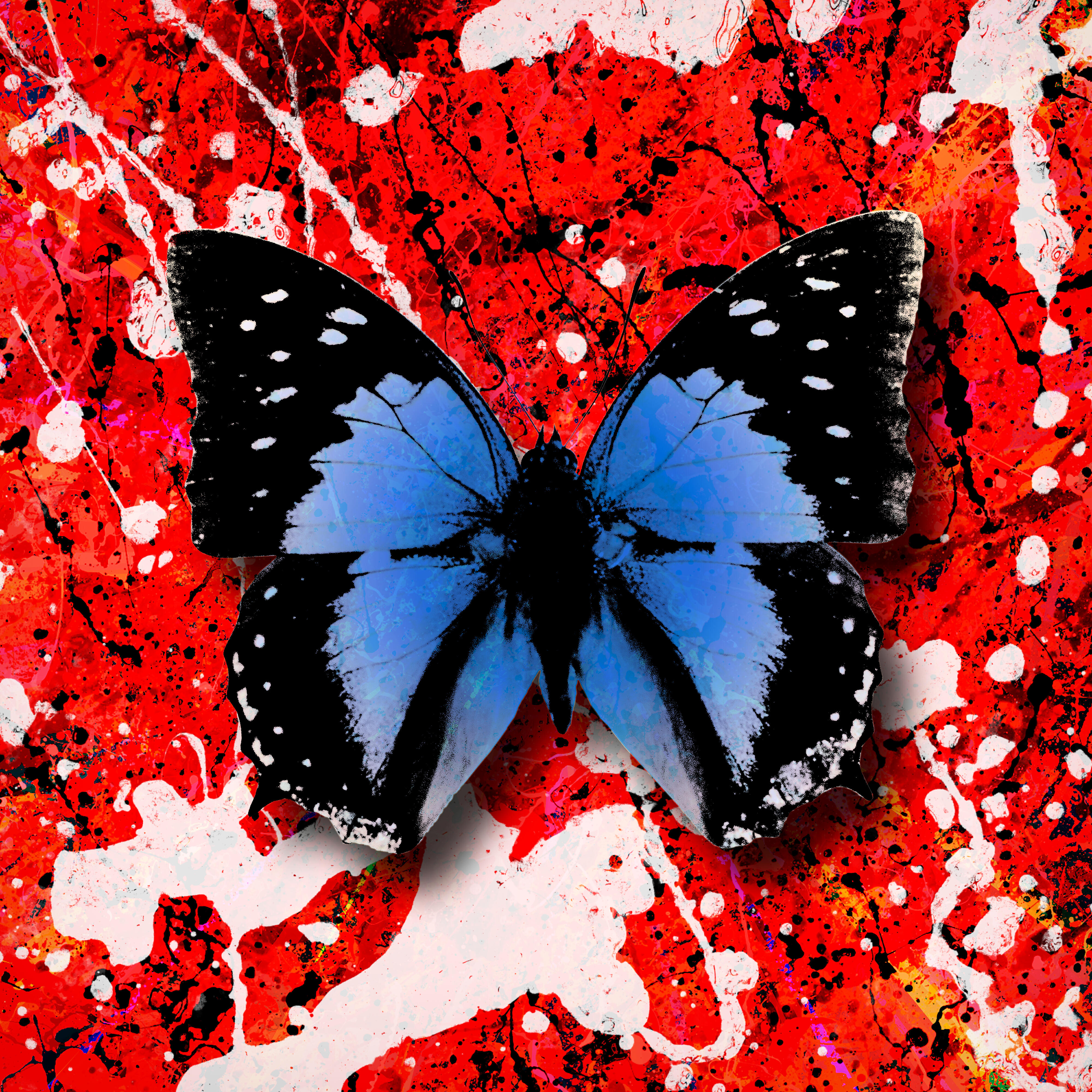 Релиз 2step (feat. Ellinoora)