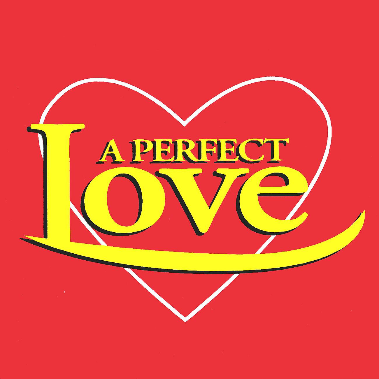 Релиз A Perfect Love - Heart Throbbing Tracks