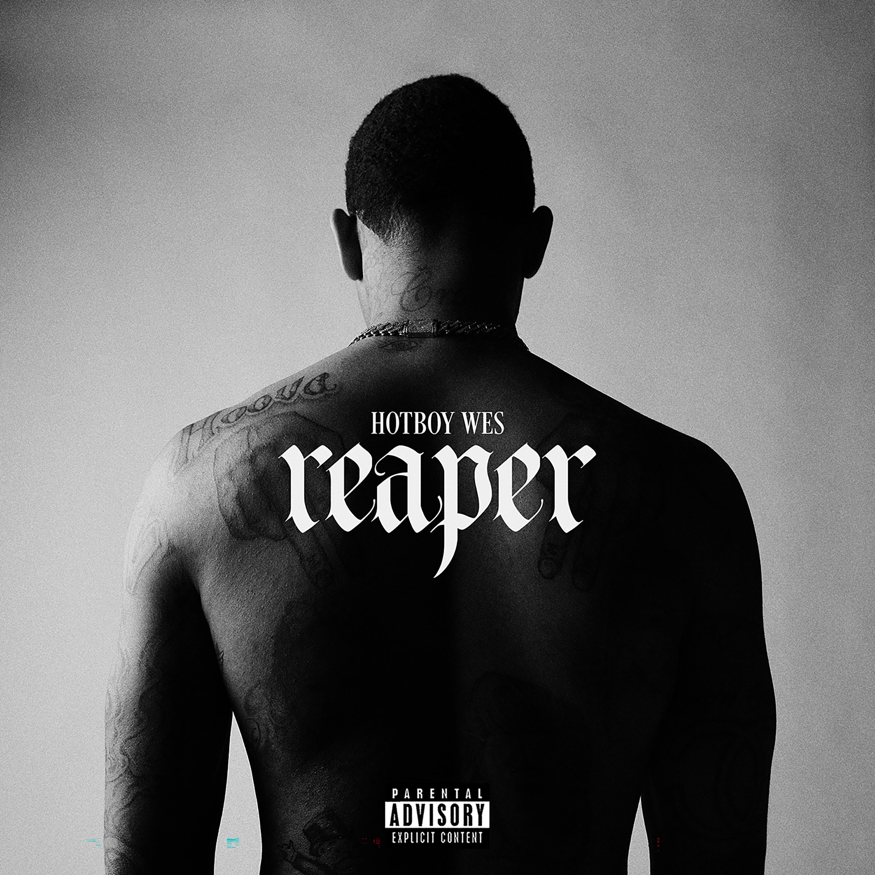 Релиз Reaper