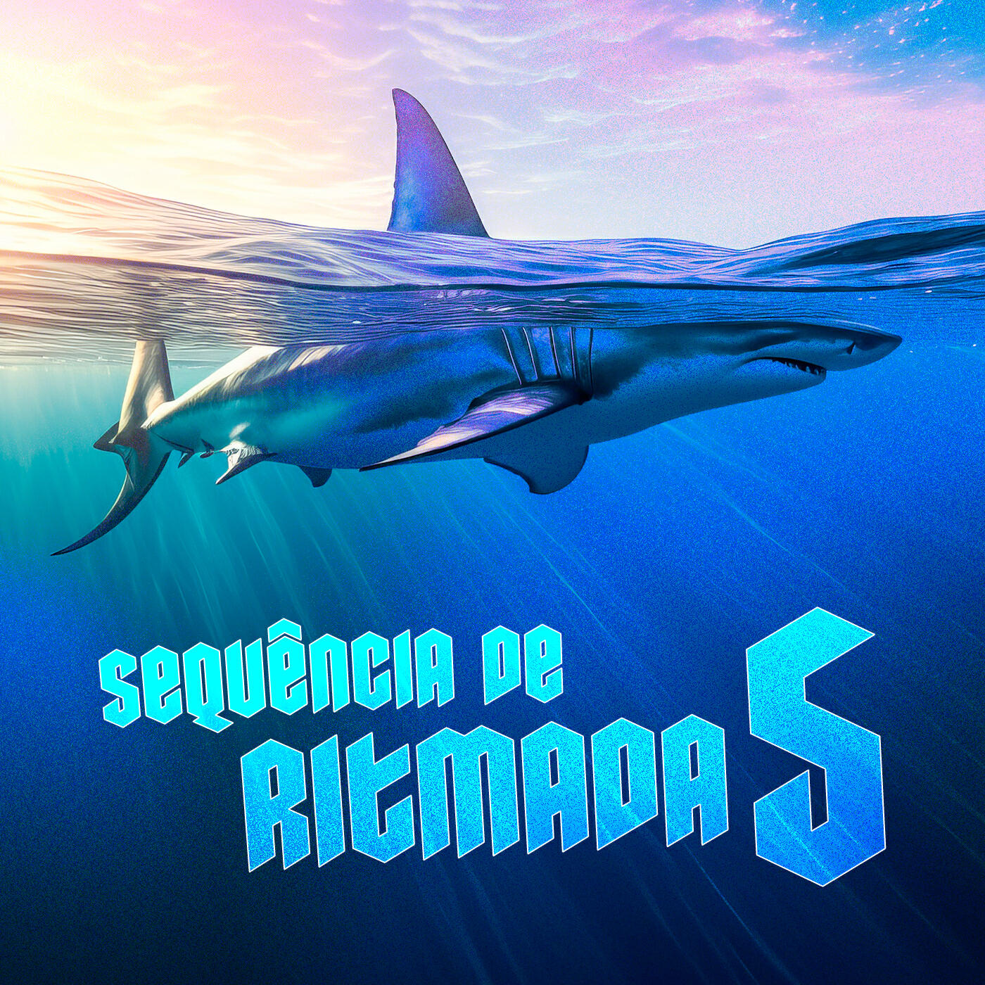 Релиз SEQUÊNCIA DE RITMADA 5