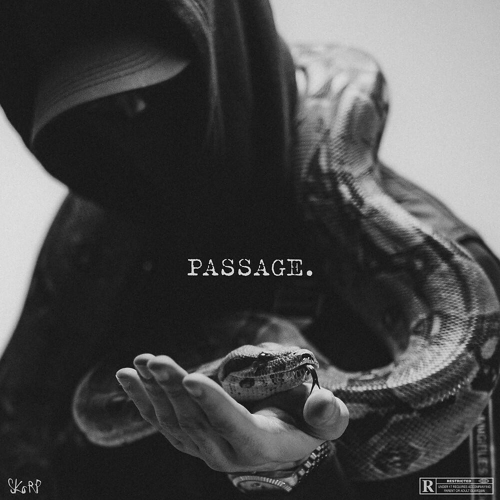 Релиз Passage