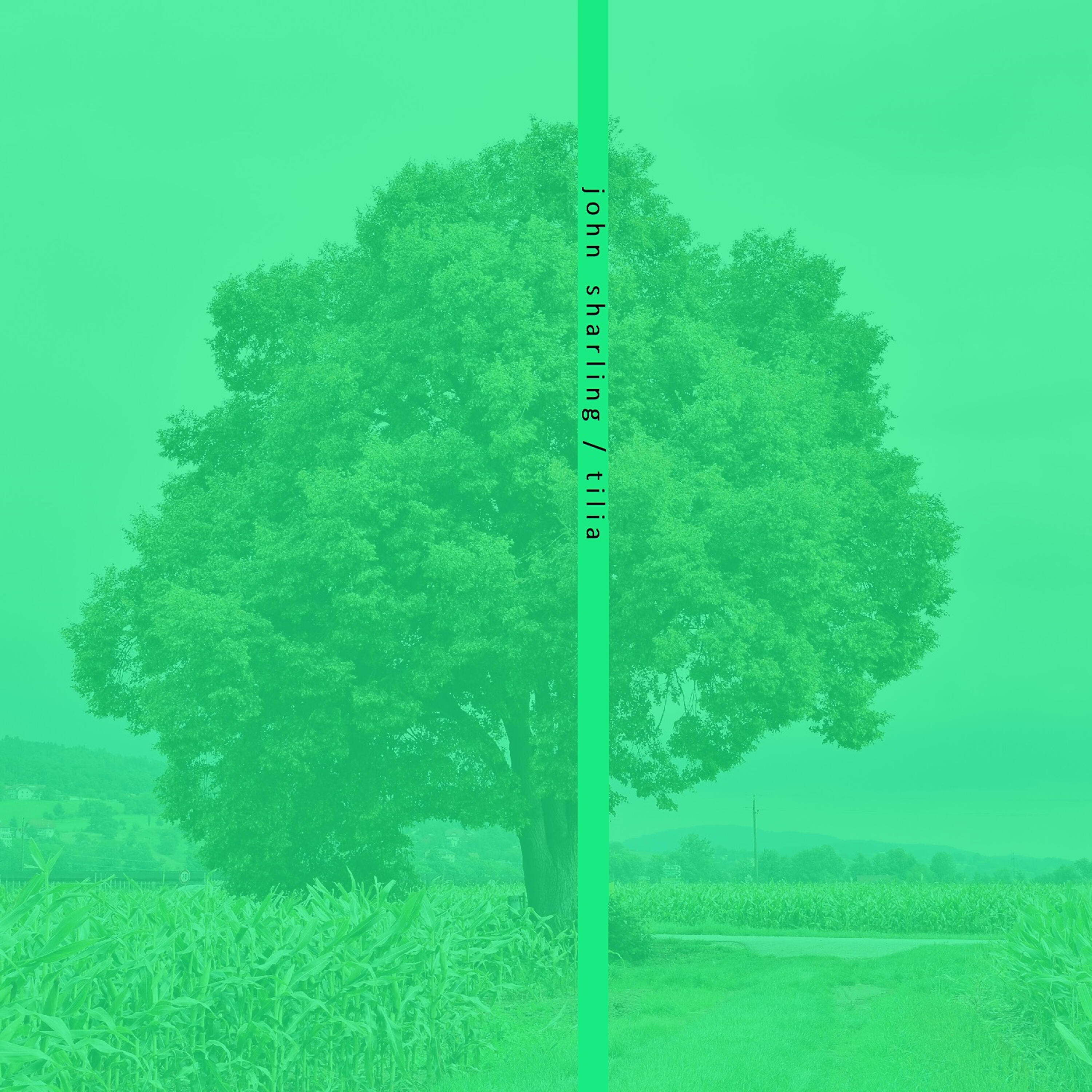 Релиз Tilia