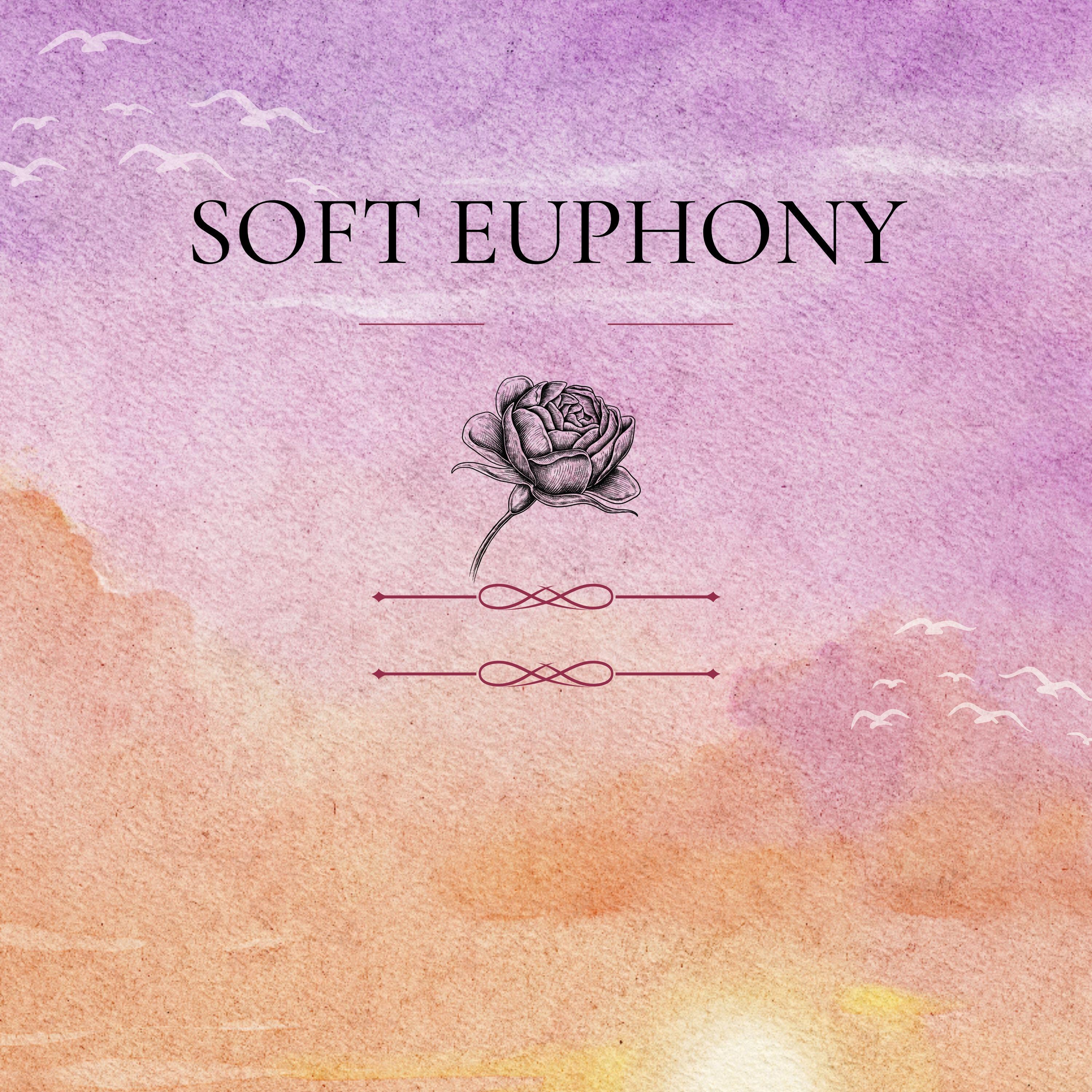 Релиз Soft Euphony