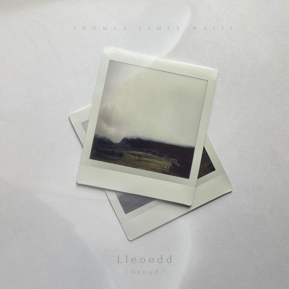 Релиз Lleoedd
