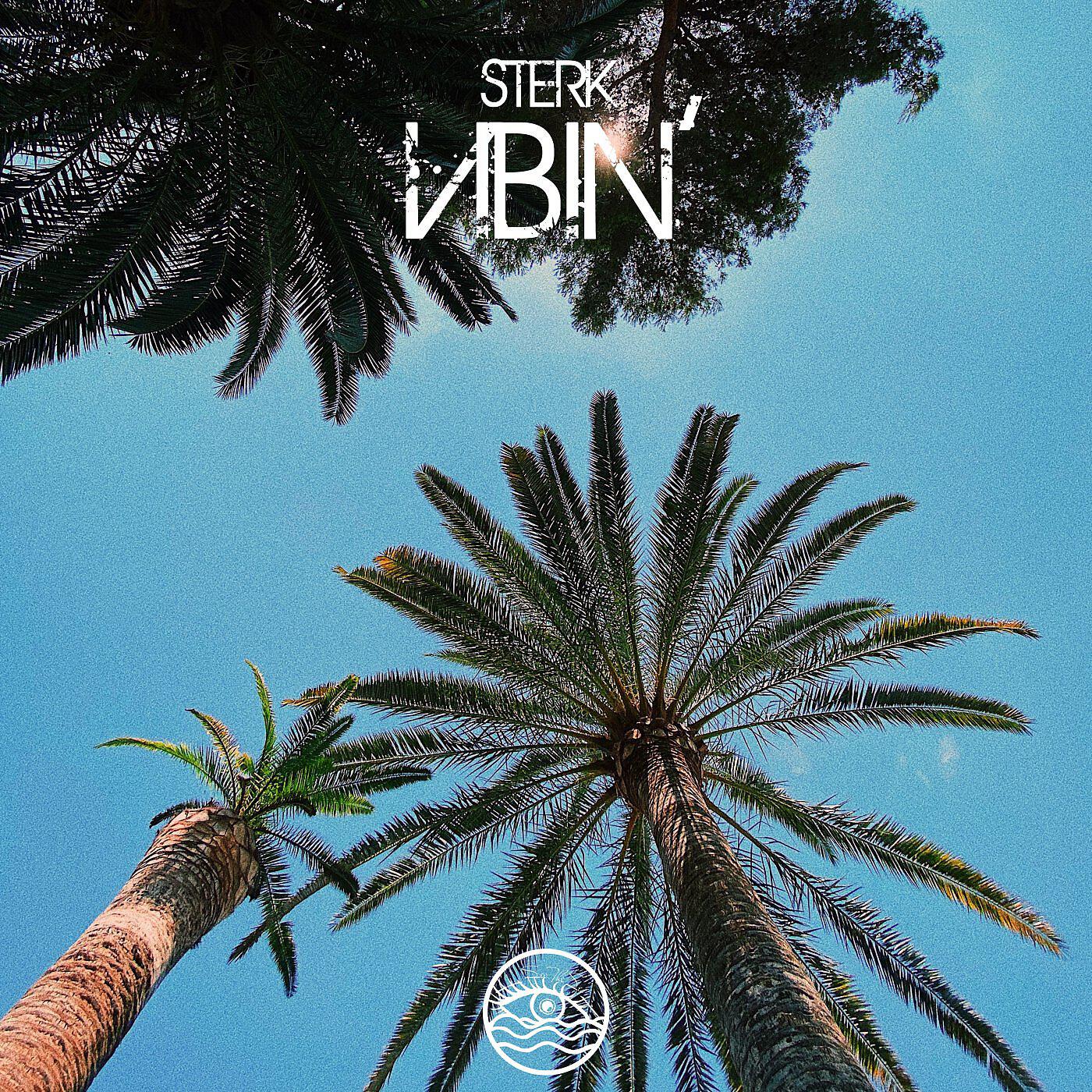 Релиз Vibin'