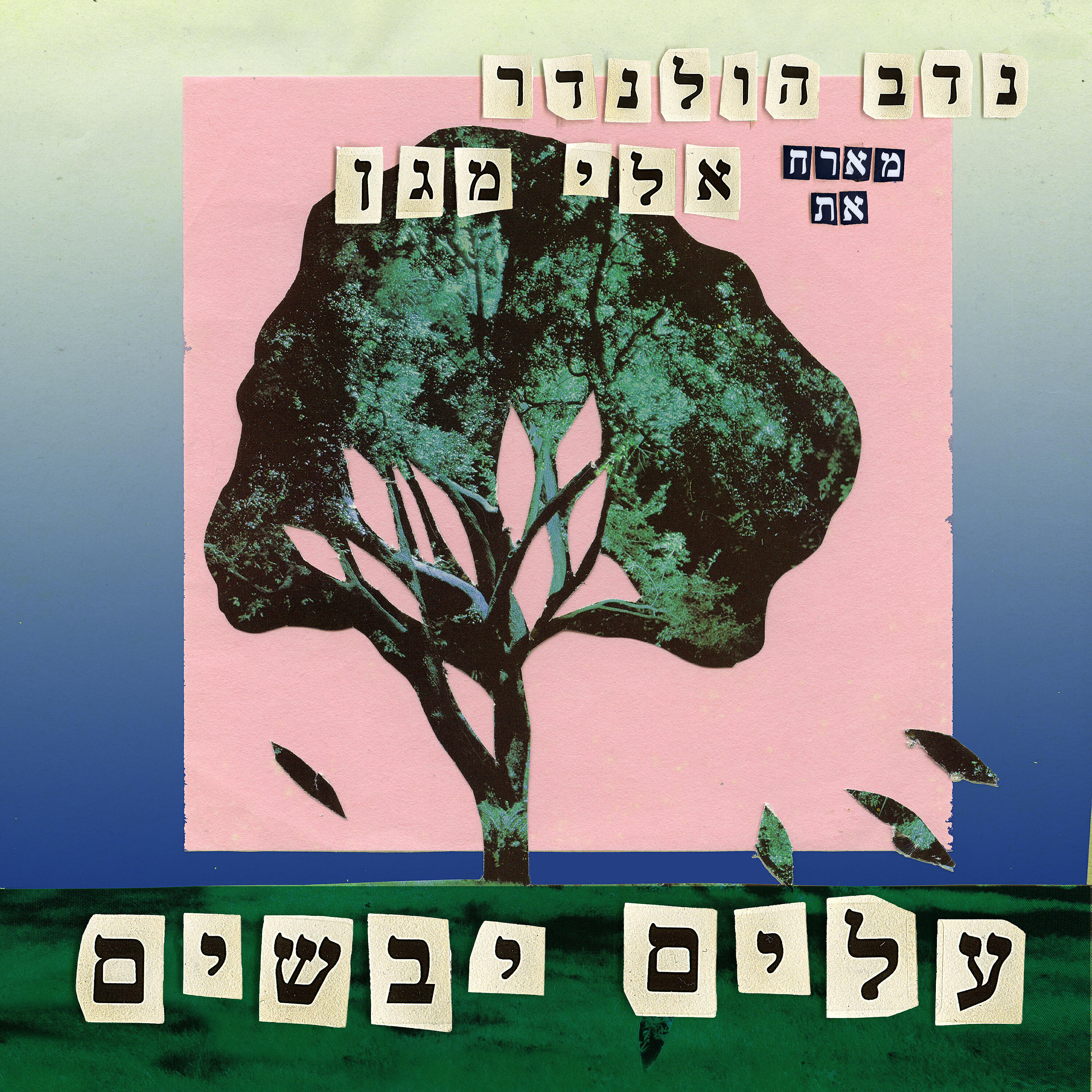 אלי מגן