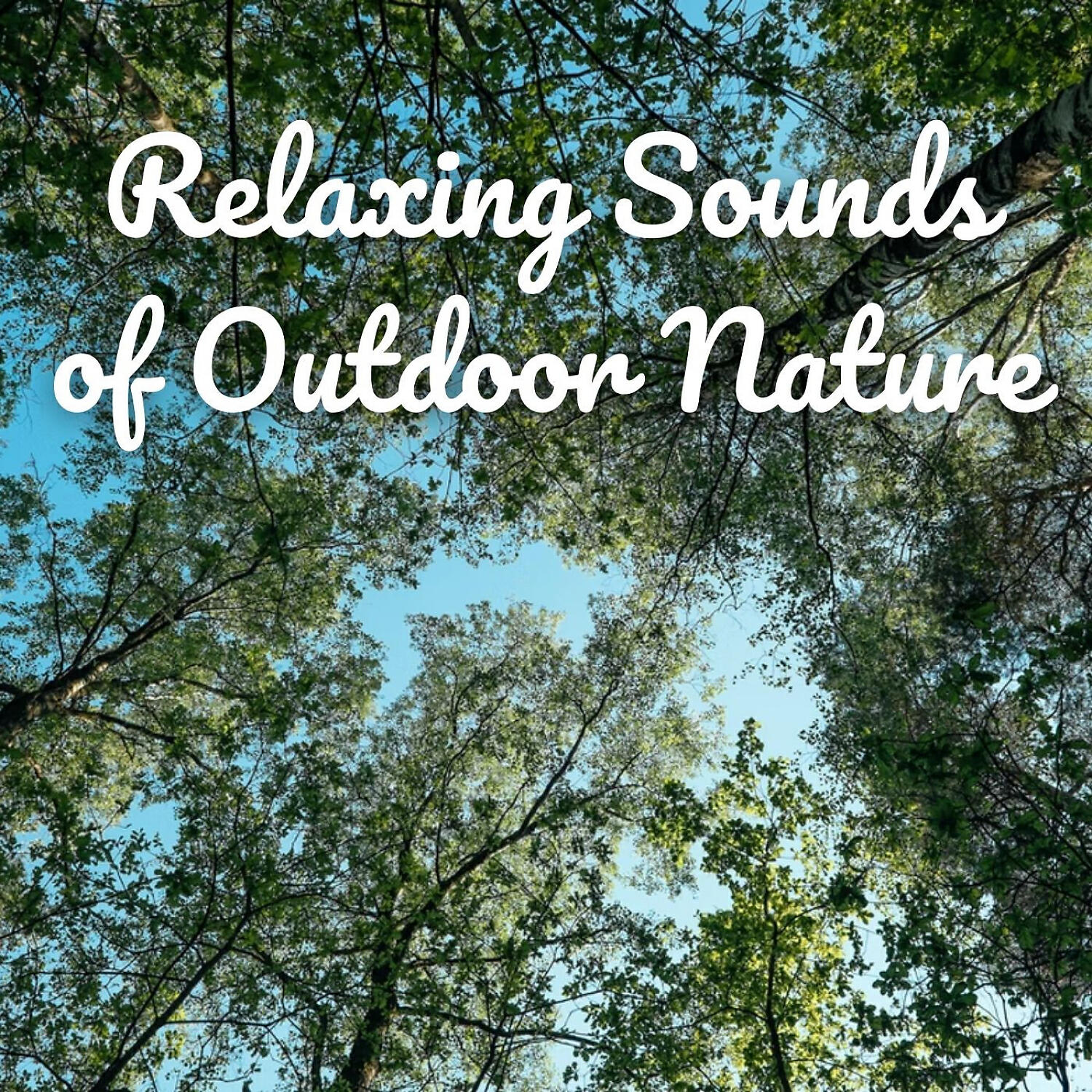 Релиз Relaxing Sounds of Outdoor Nature