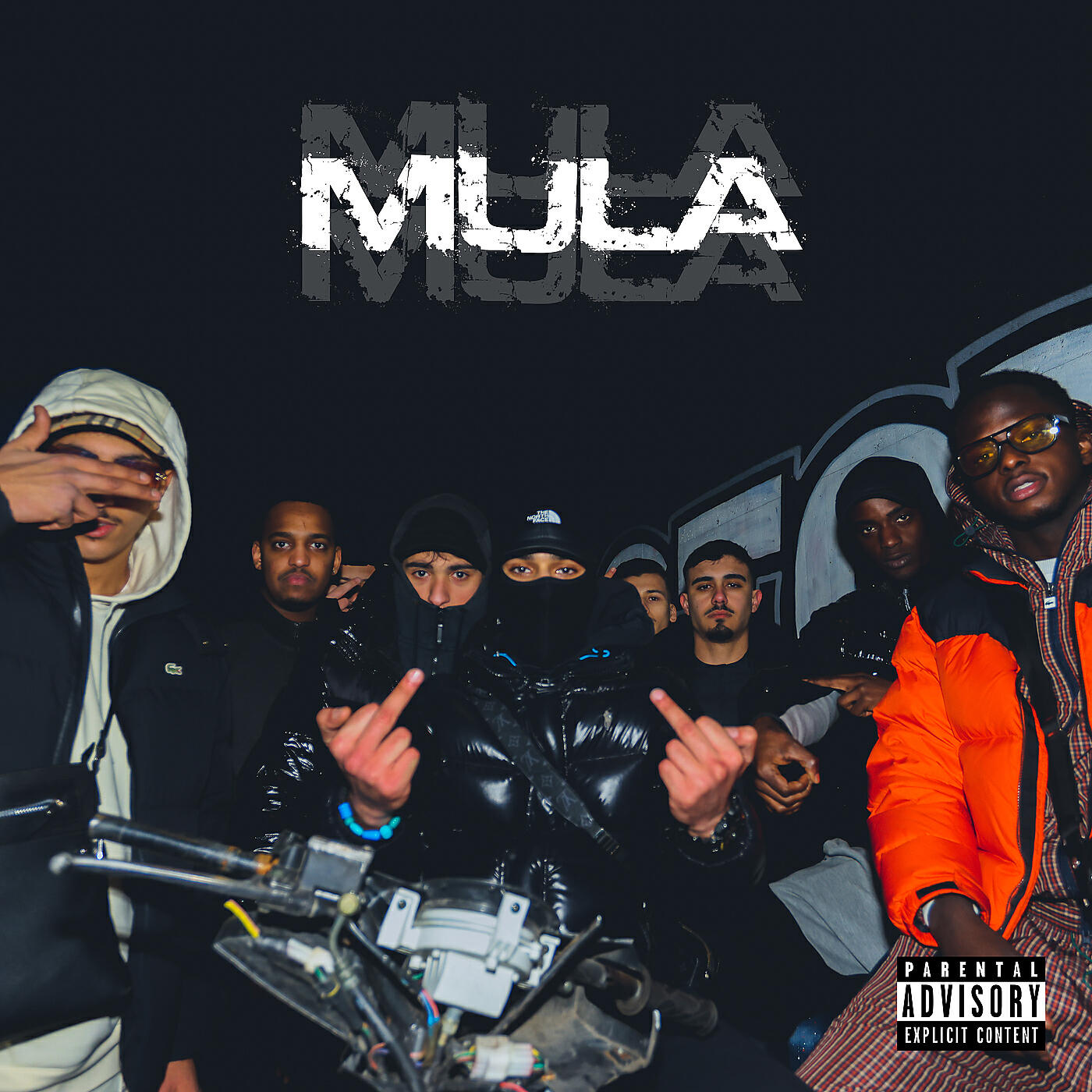 Релиз Mula