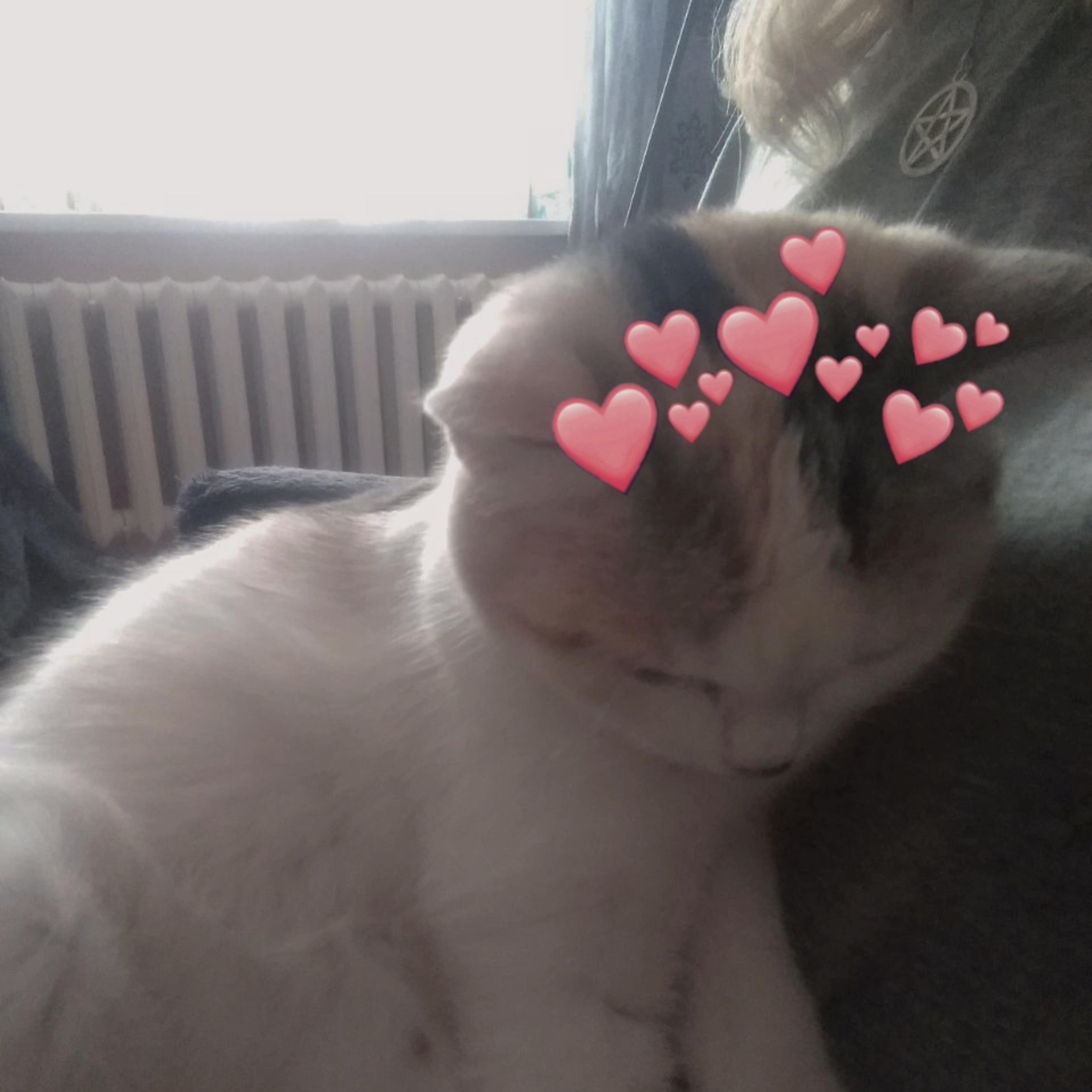 Релиз Last Thoughts on Love