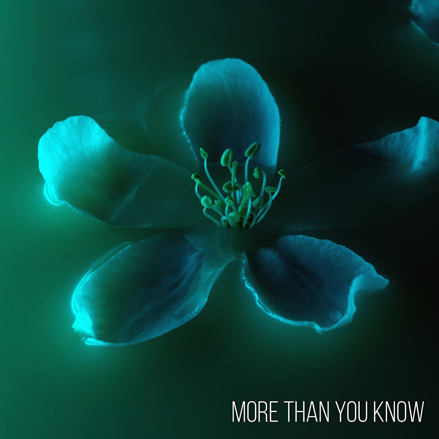 Релиз More Than You Know