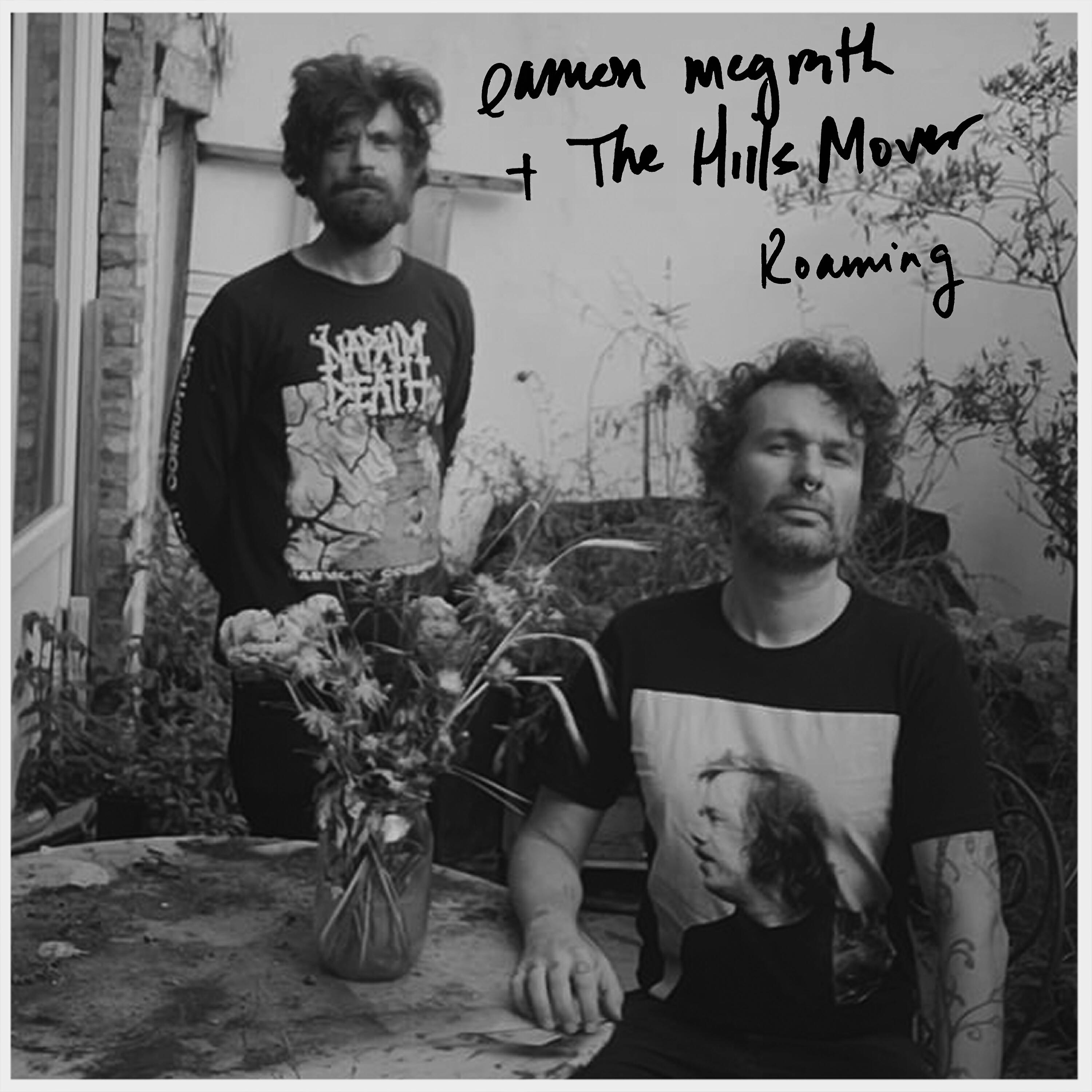 Релиз Roaming