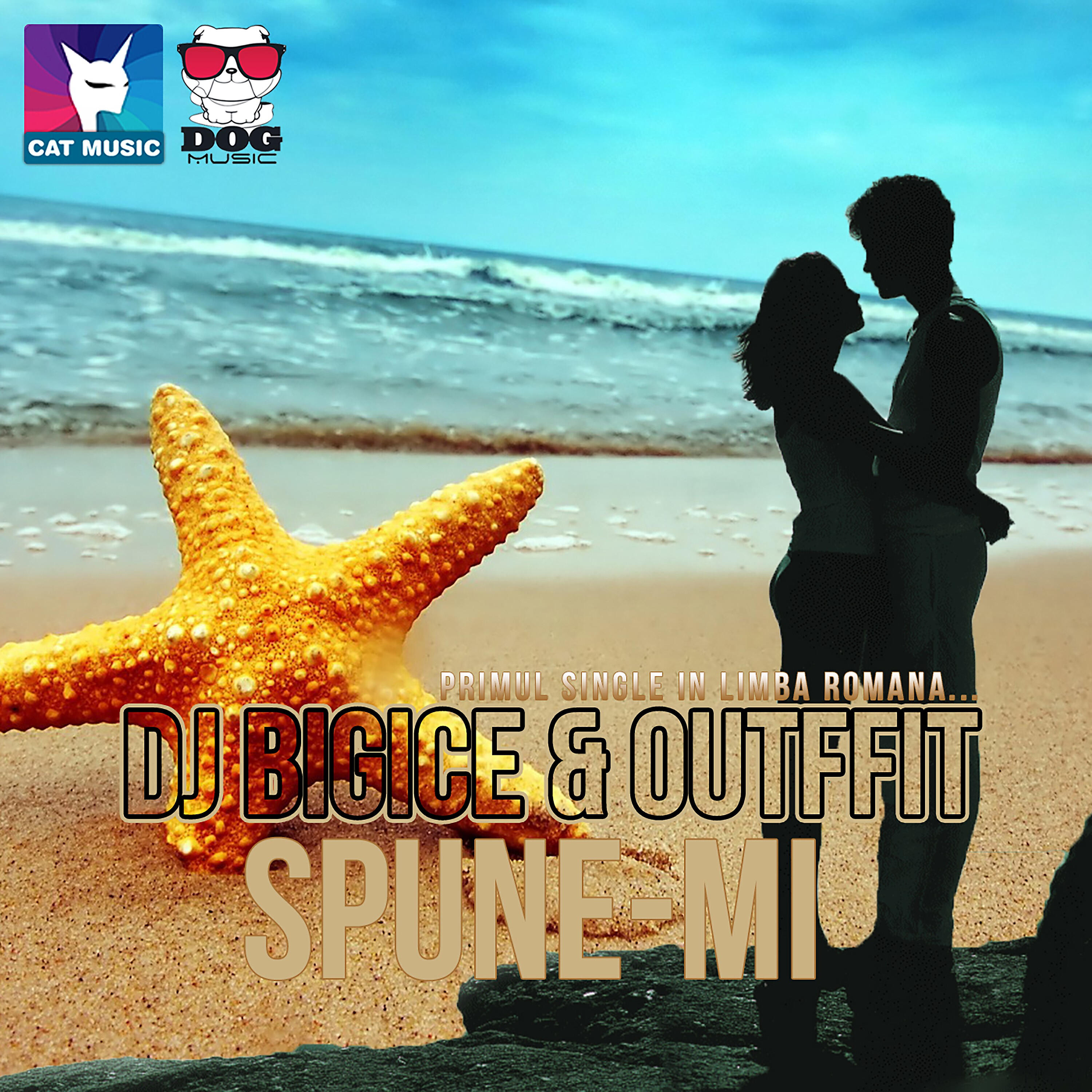Релиз Spune-mi