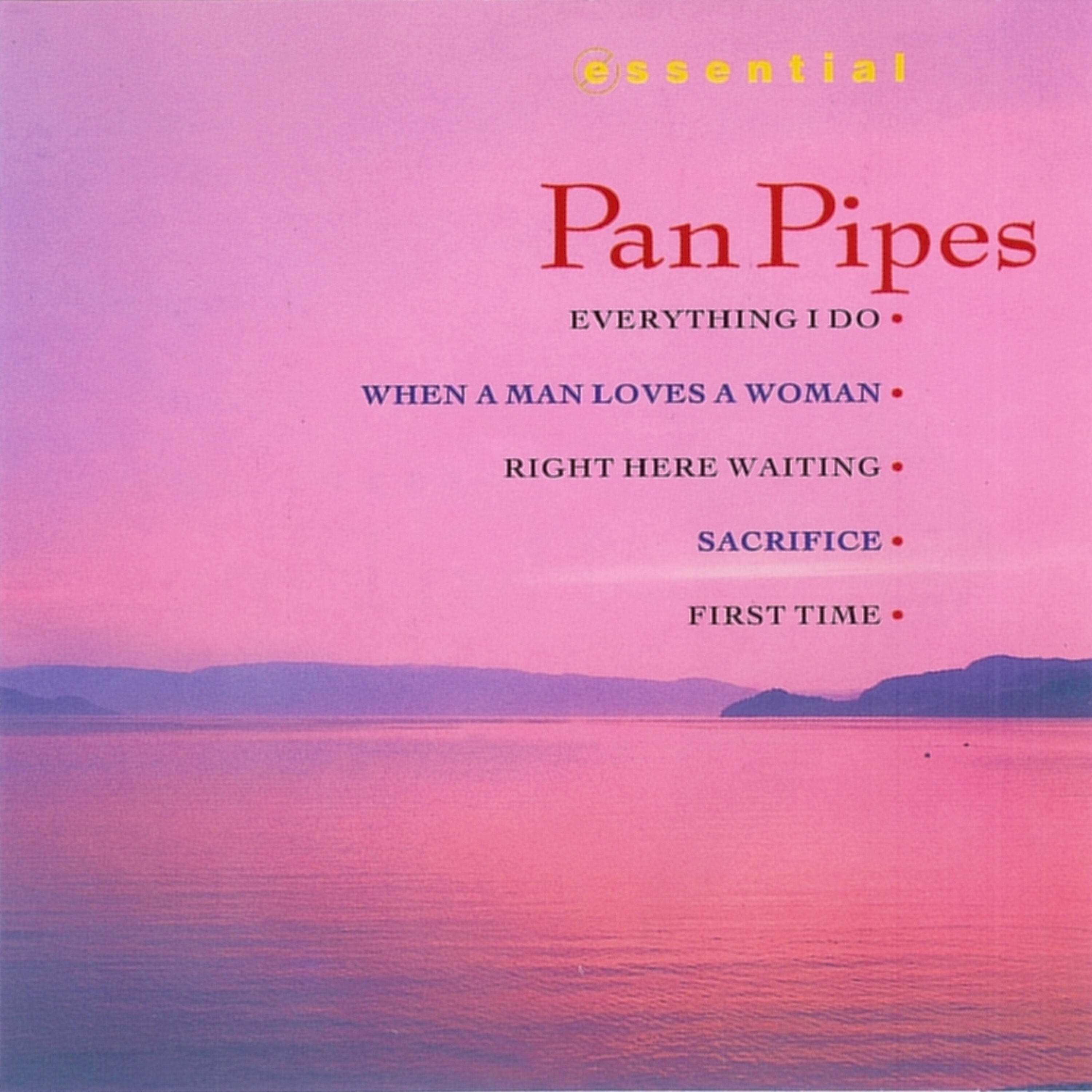 The Pop Du Monde Orchestra