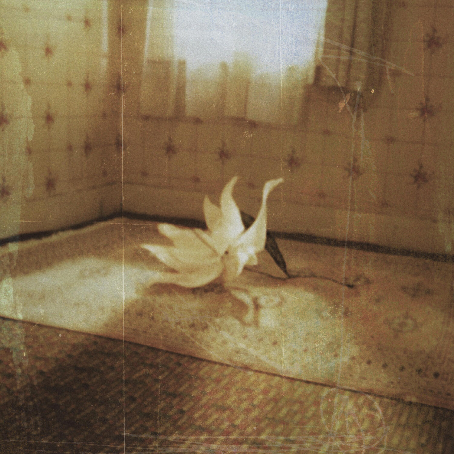 Релиз Siren
