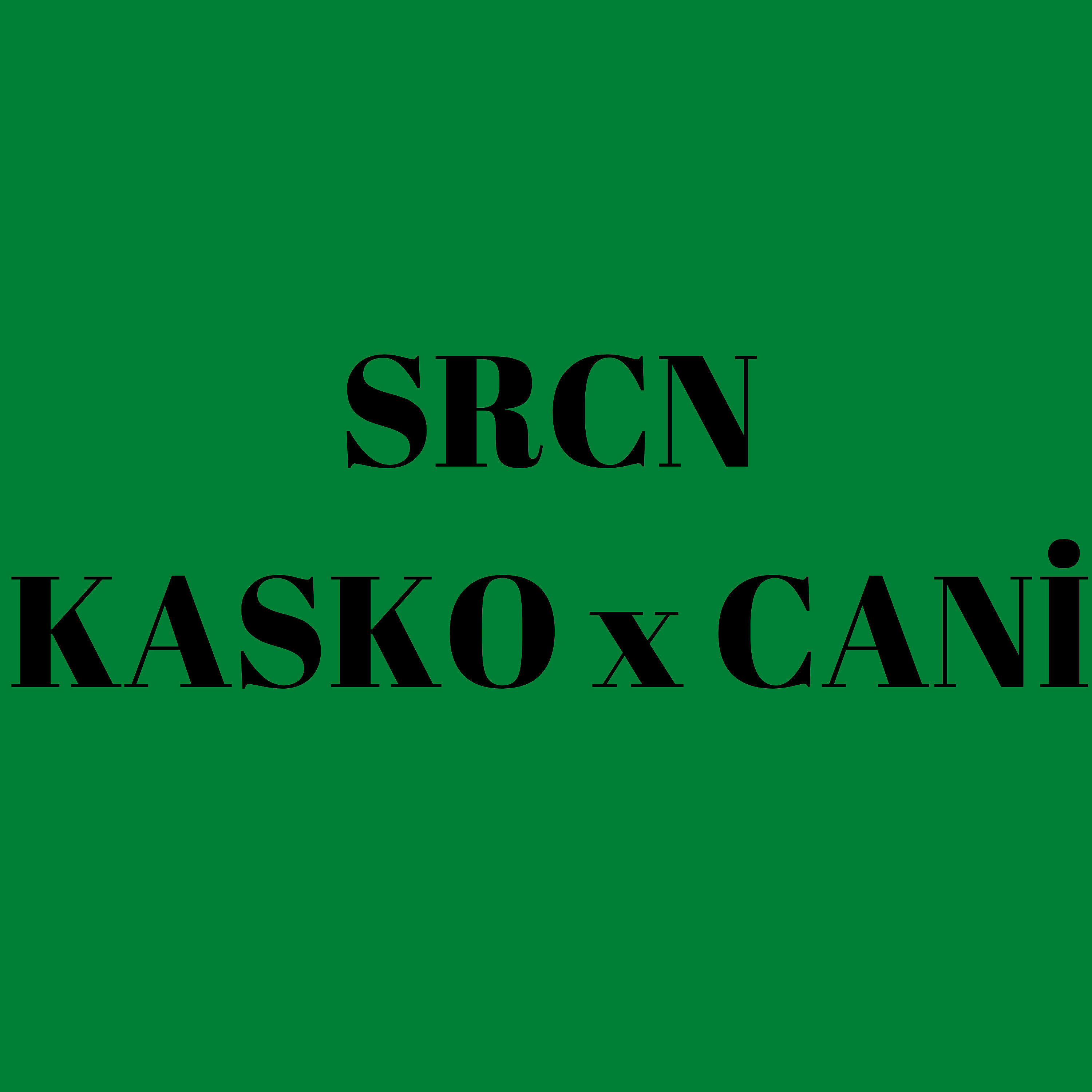 Релиз SRCN