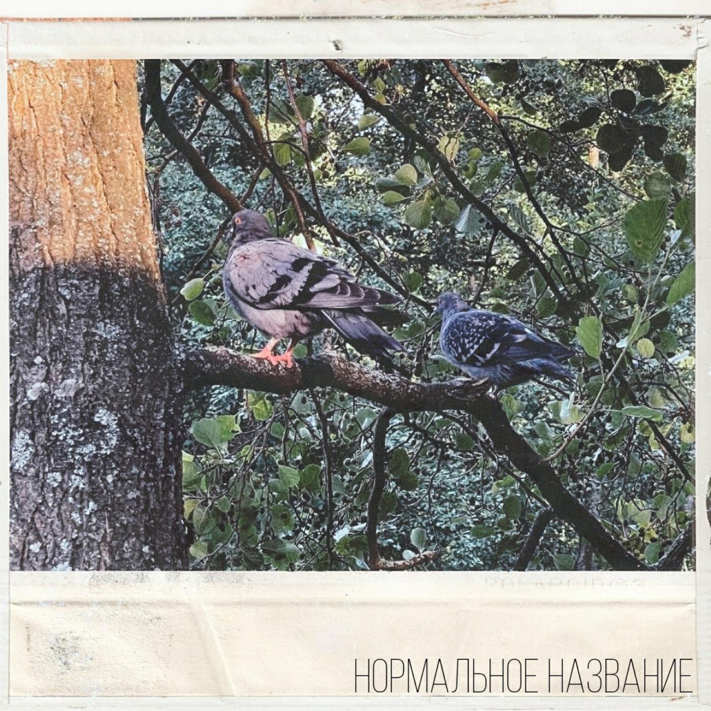 Релиз Нормальное название