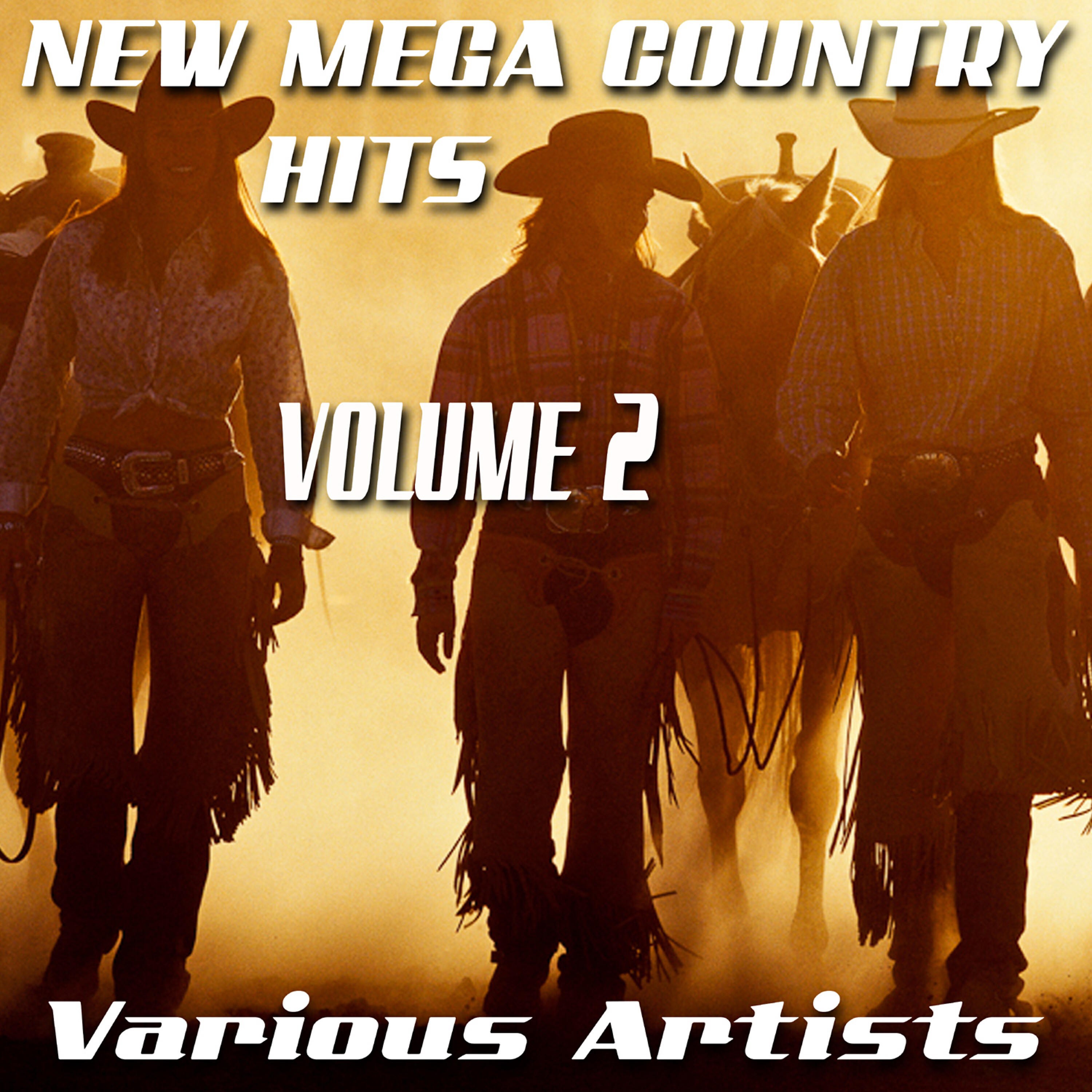 Релиз New Mega Country Hits, Vol. 2