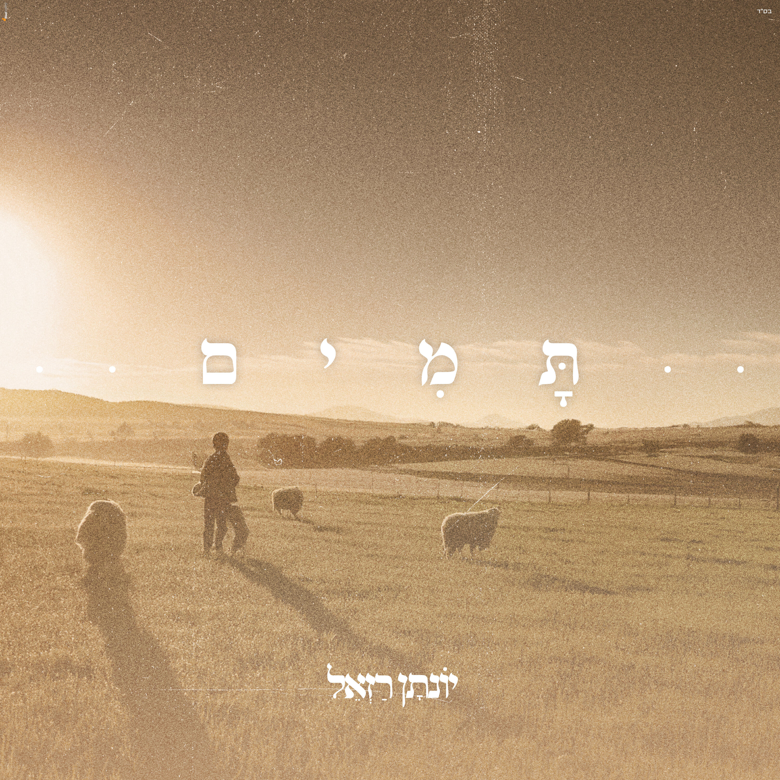 Релиз תמים