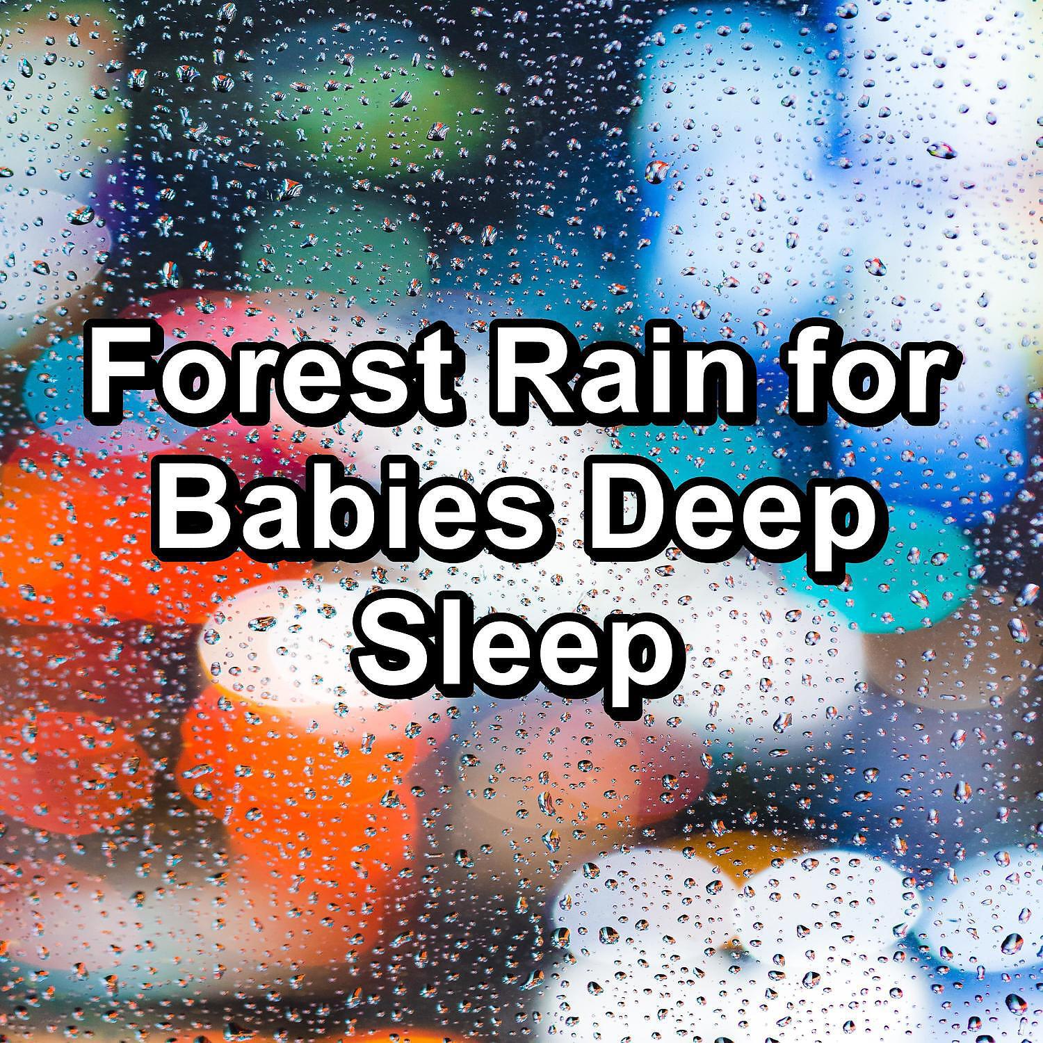 Постер альбома Forest Rain for Babies Deep Sleep